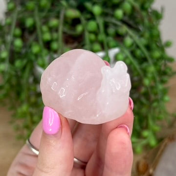 Rose Quartz Snail (X551)