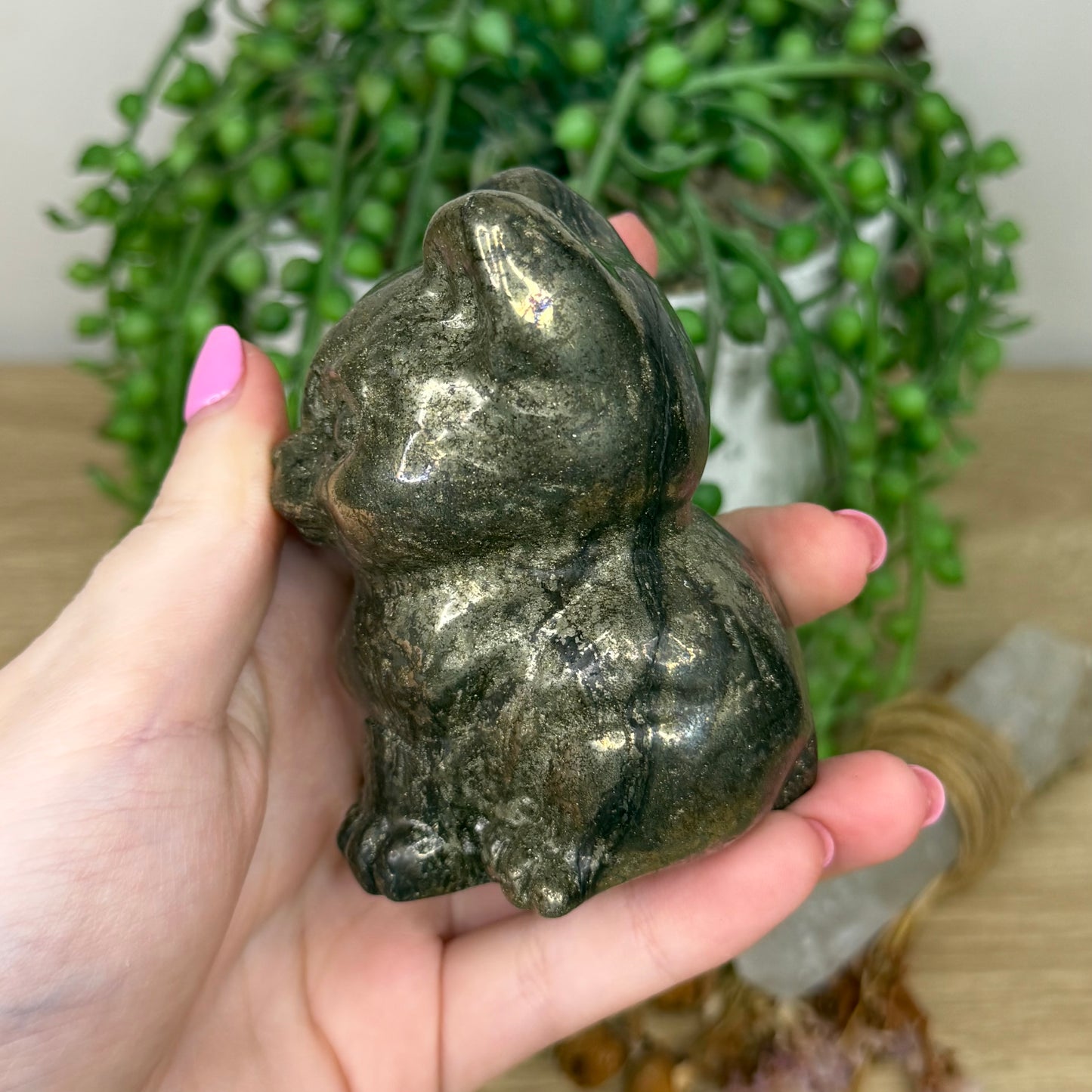 Pyrite Cat (Z601)