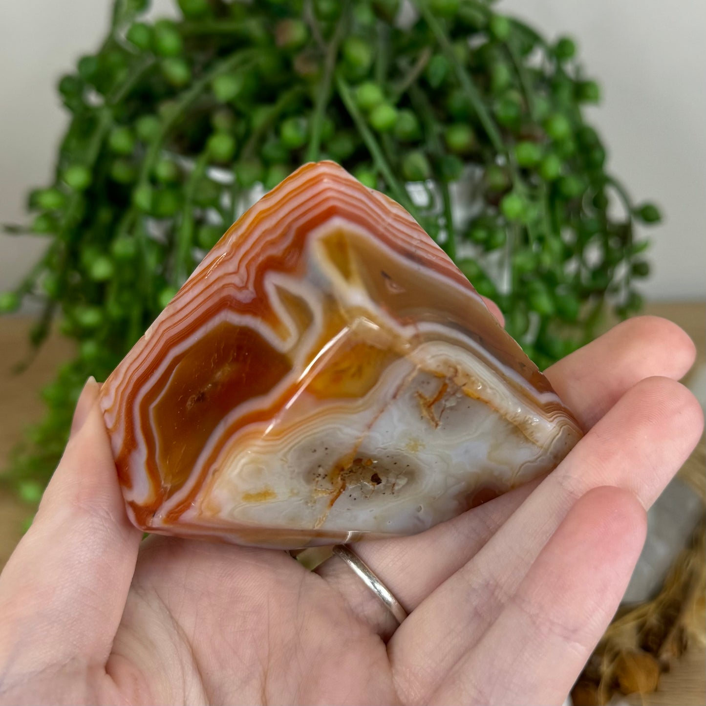 Carnelian Free Form (P504)