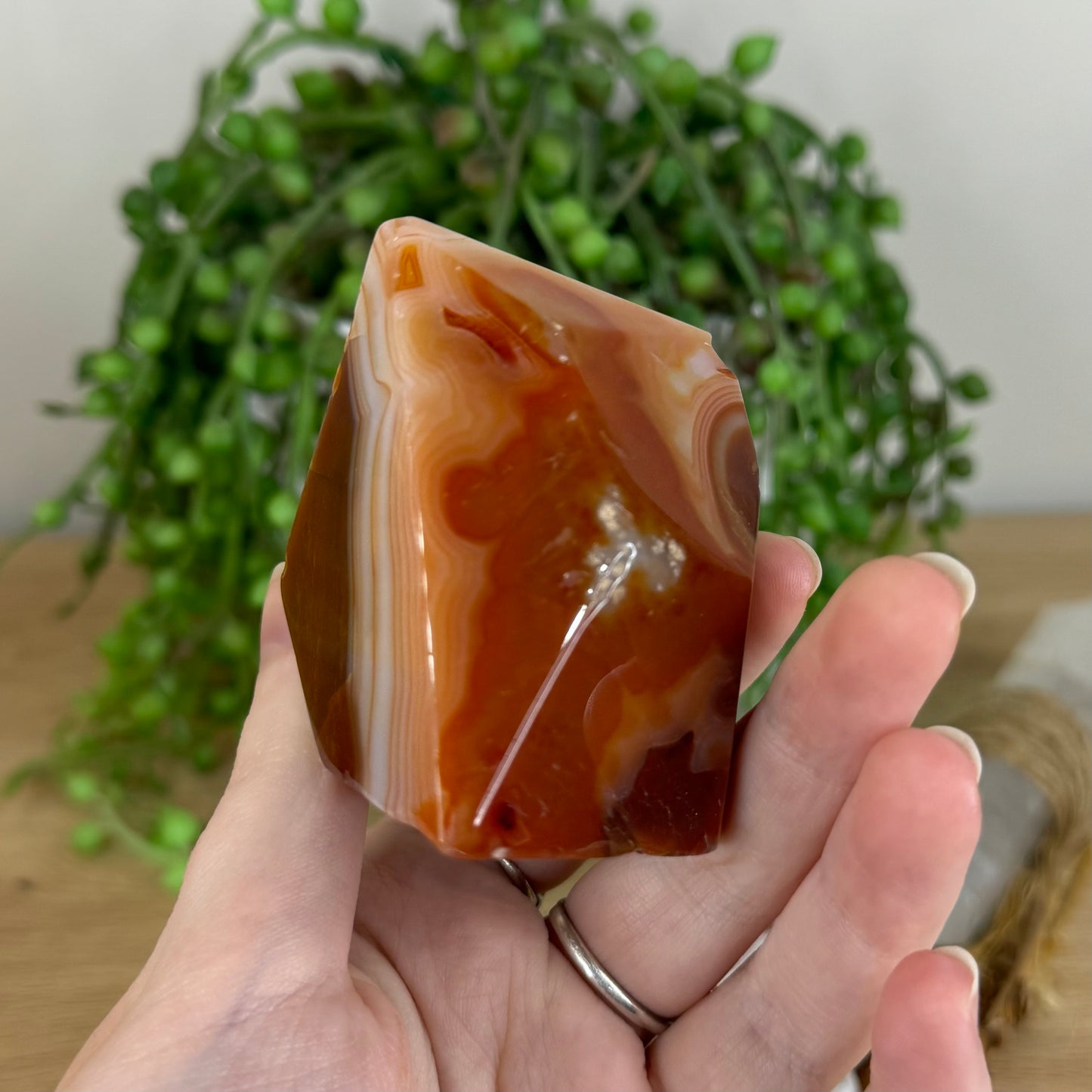 Carnelian Free Form (P503)
