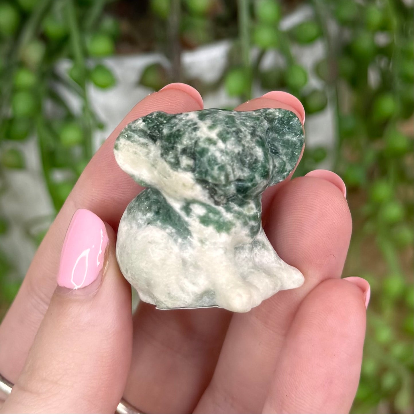 Green Spot Jasper Koala (T817)