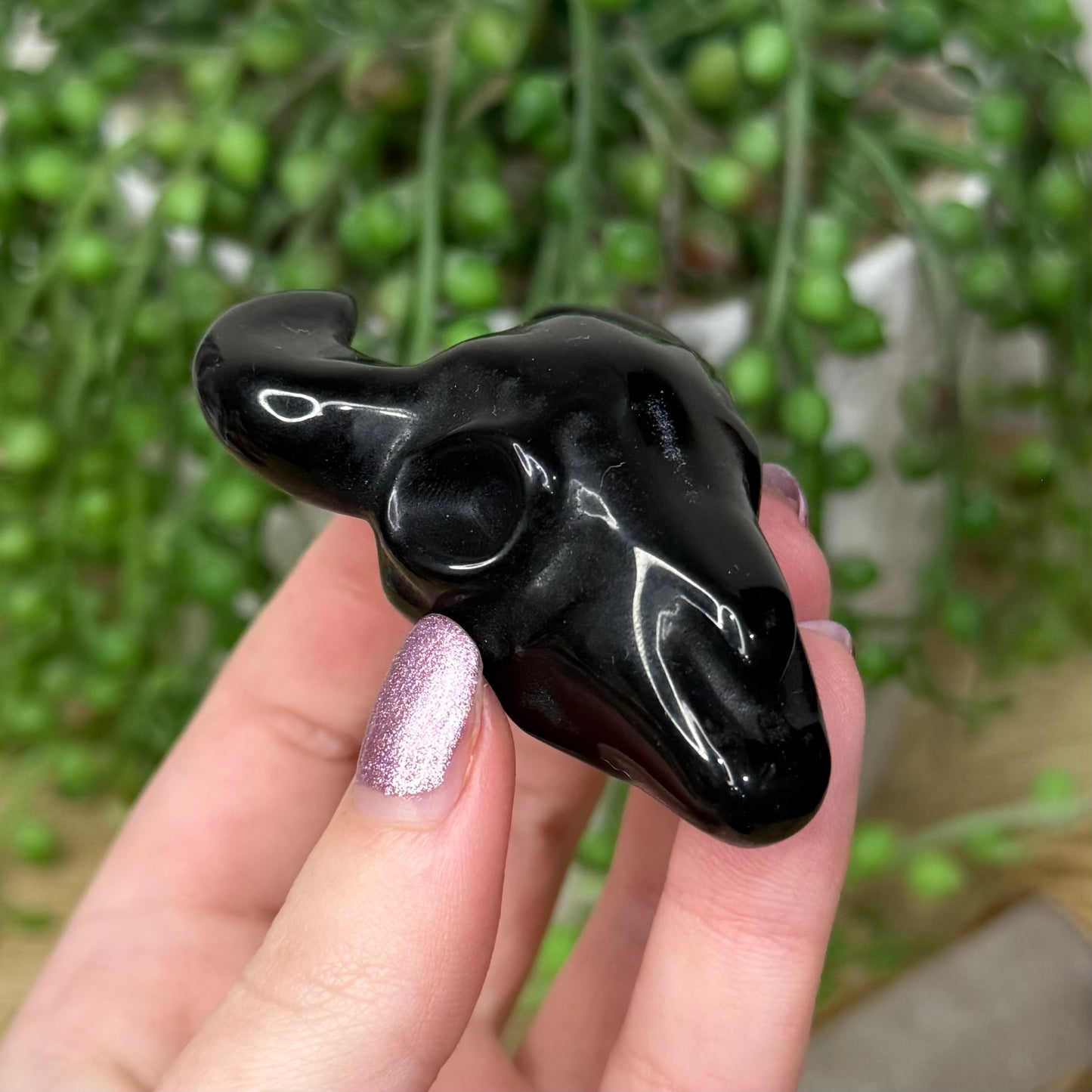 Black Obsidian Cow Skull (194A)