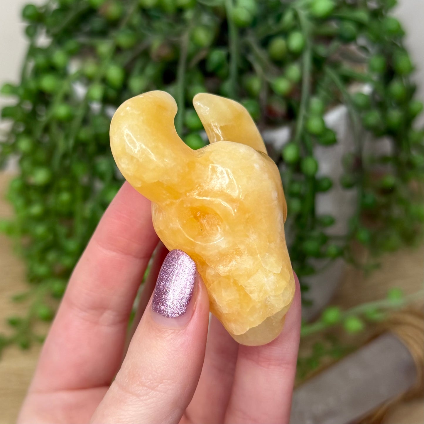 Yellow Calcite Cow Skull (188A)