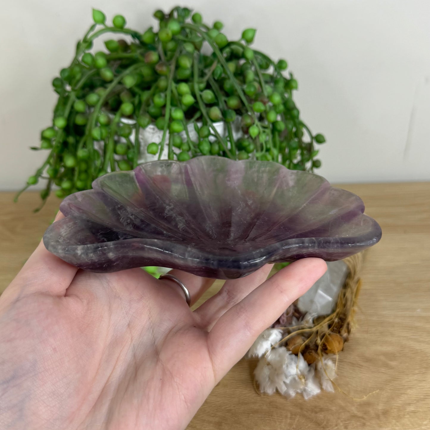 Purple Fluorite Clam Bowl (P492)