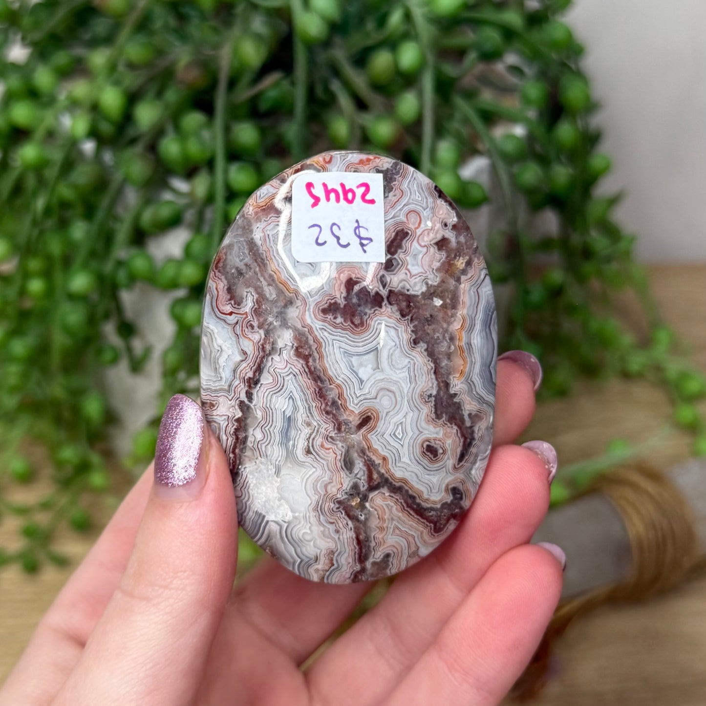 Mexican Crazy Lace Agate Palm Stone (Z945)