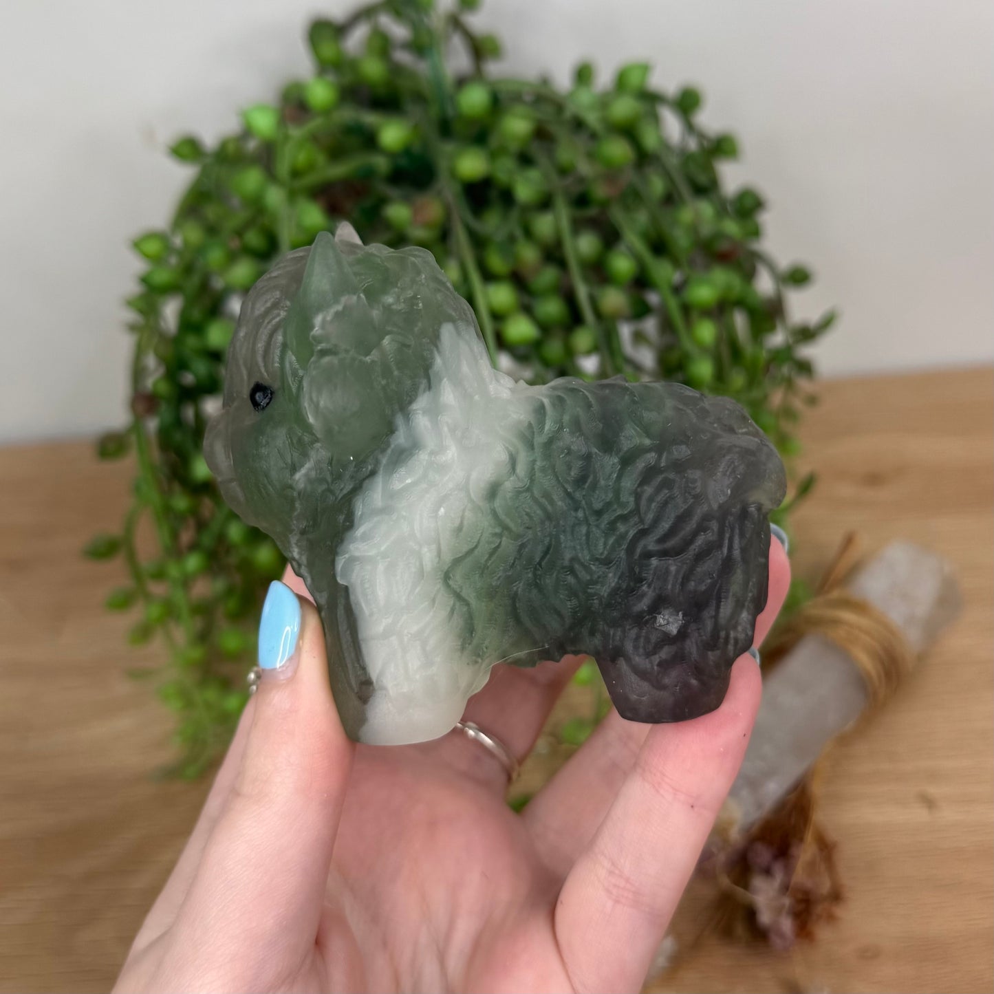 Green Fluorite Highland Cow (U603)