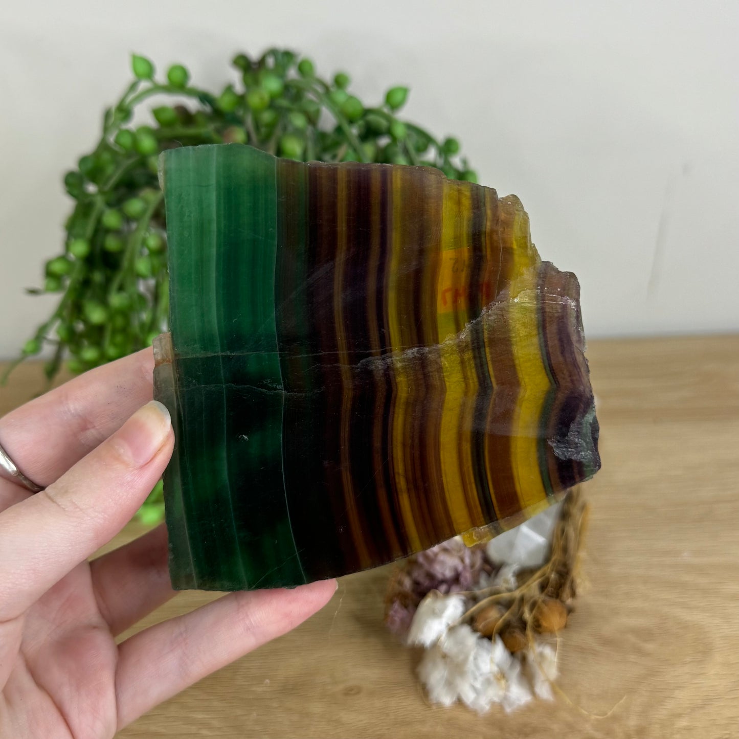 Rainbow Fluorite Slab (P347)