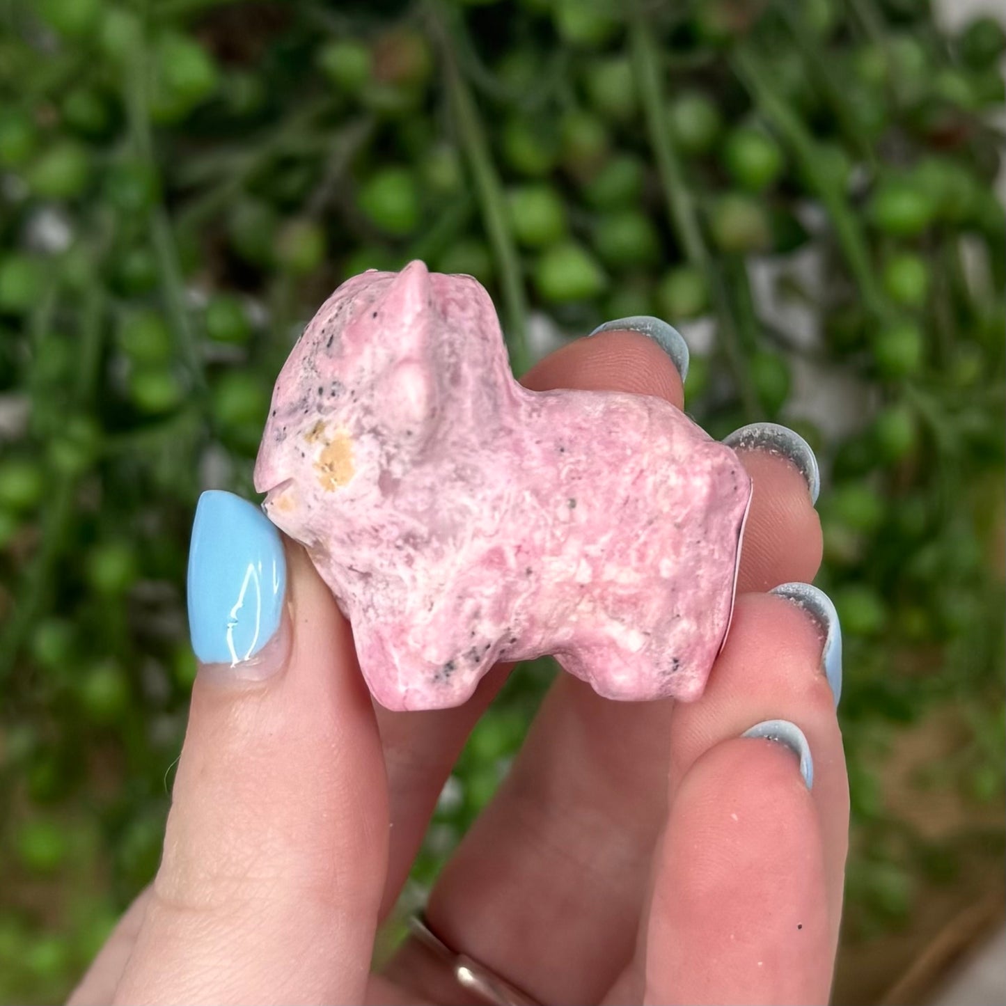 Peruvian Rhodonite Highland Cow (U557)