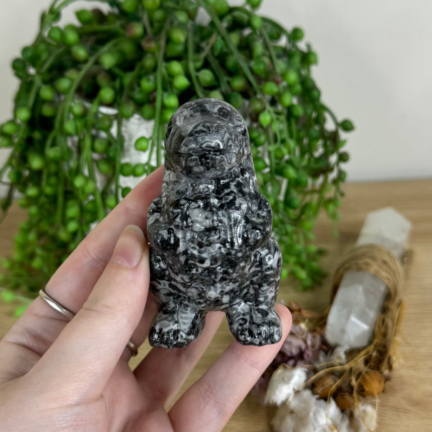Shell Jasper Chubby Dinosaur (P294)