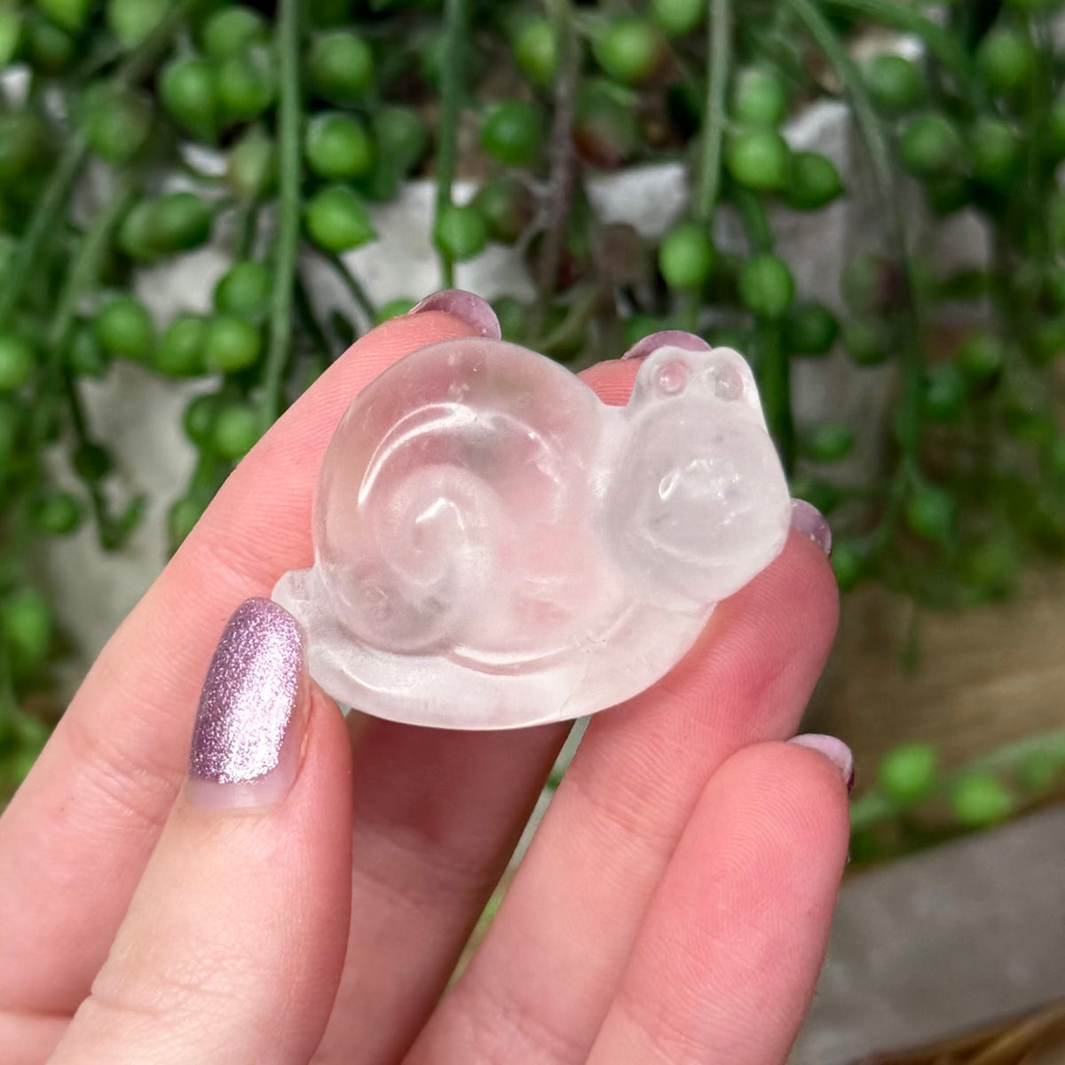 Clear Quartz Snail (125A)