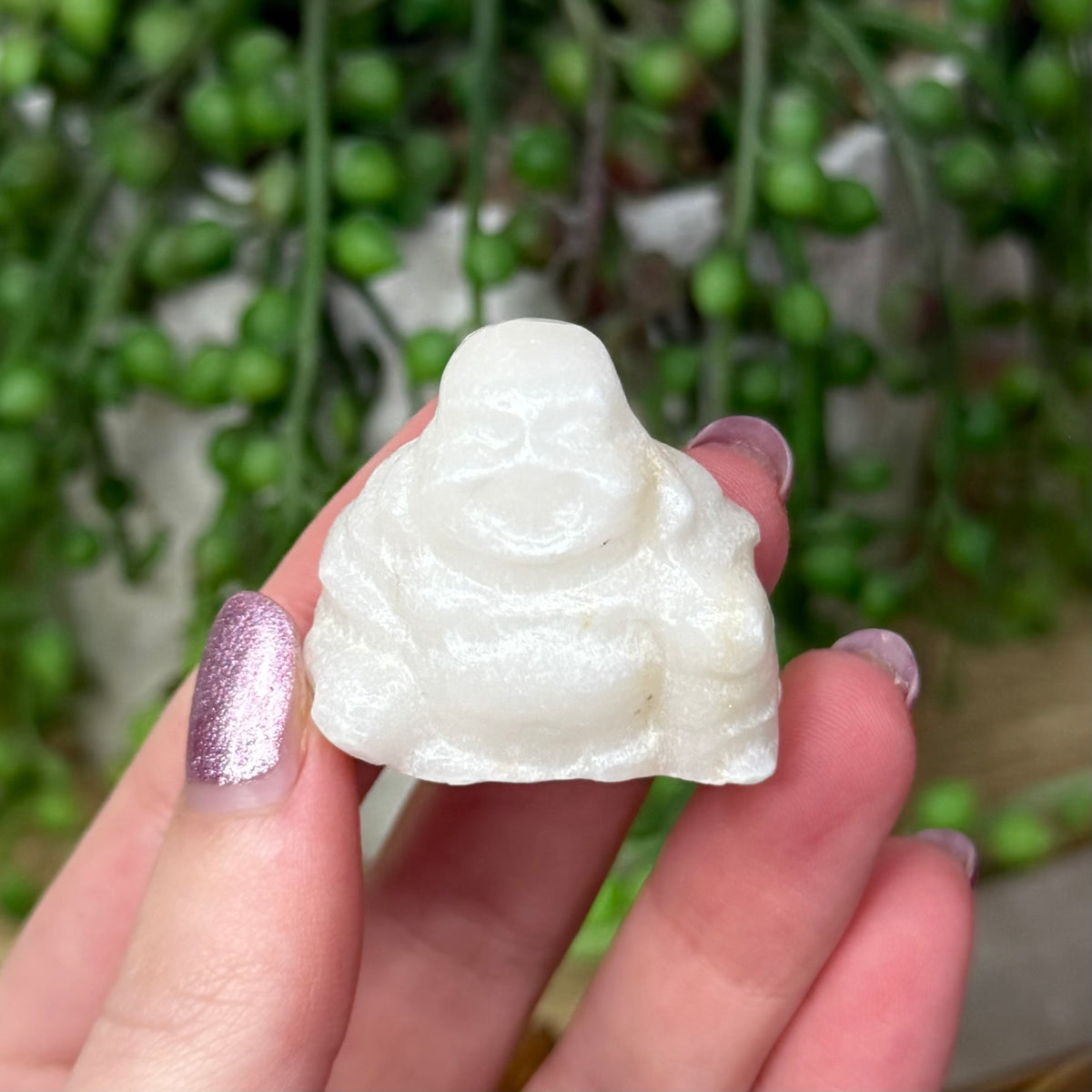 White Jade Buddha (Z709) (Z706)