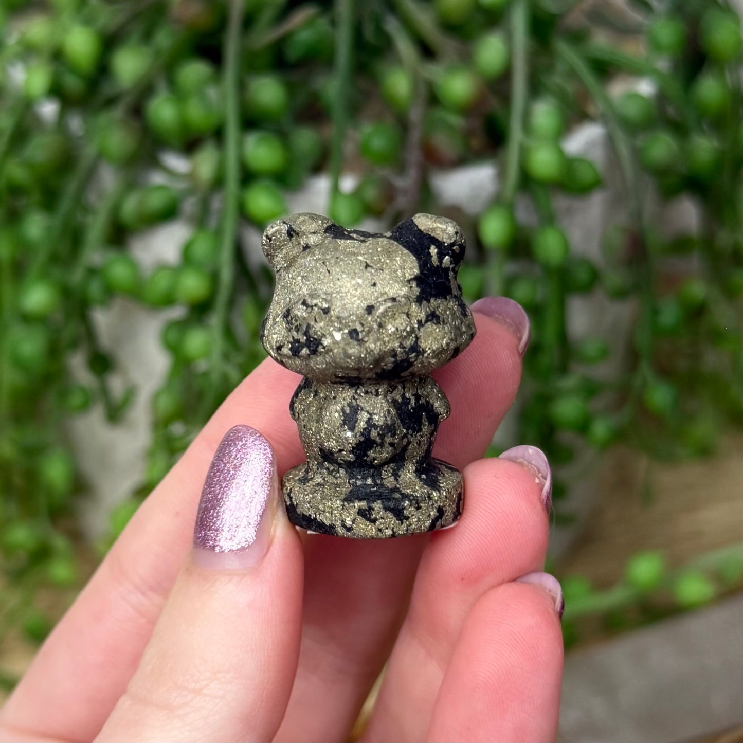 Pyrite Racoon (Z717)