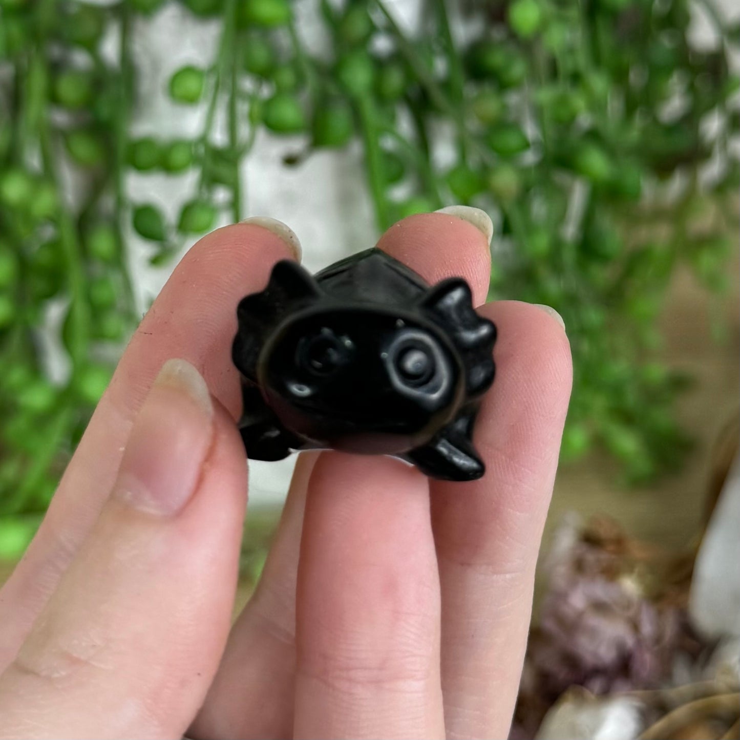 Black Obsidian Axolotl (P284)