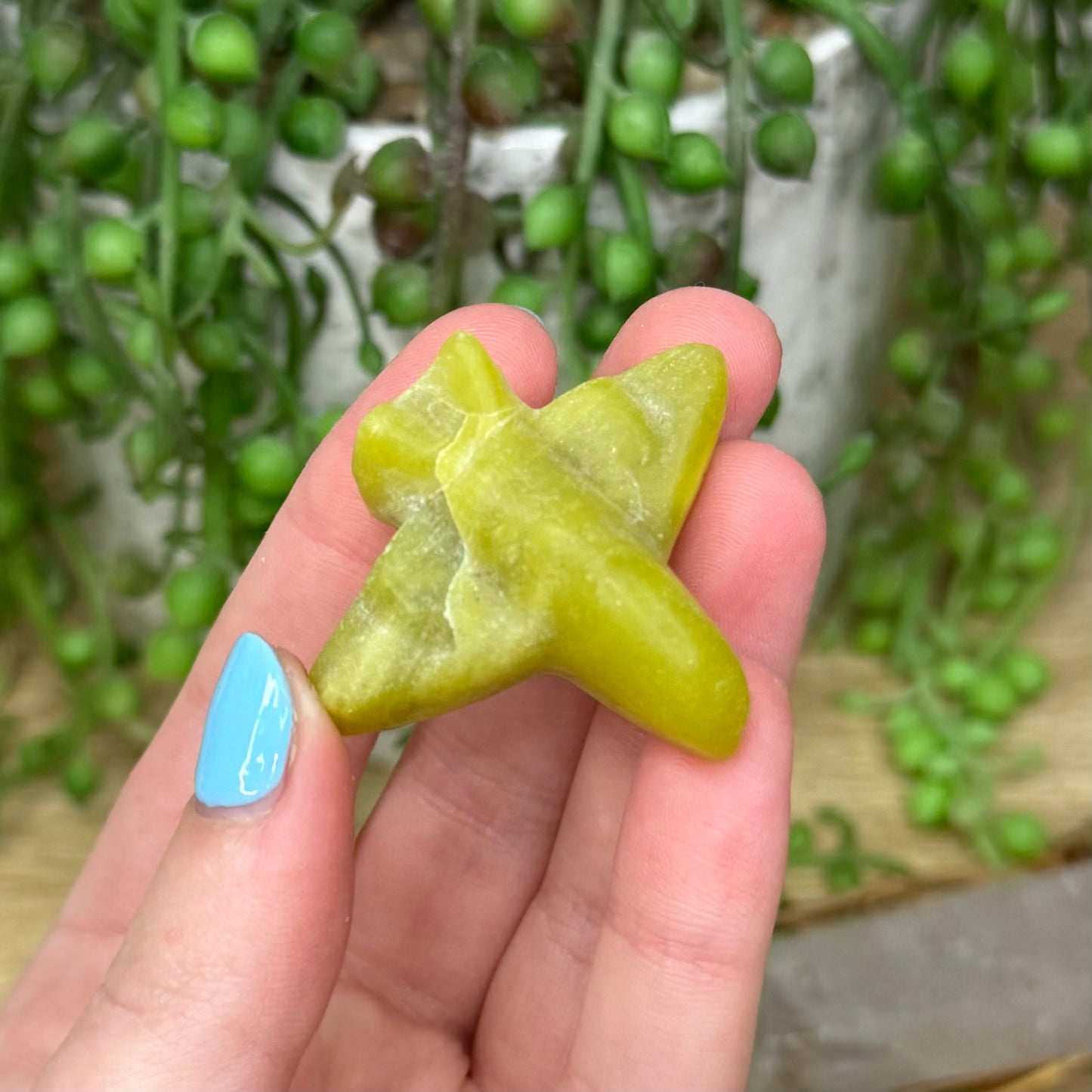 Yellow Jade Plane (Y555)