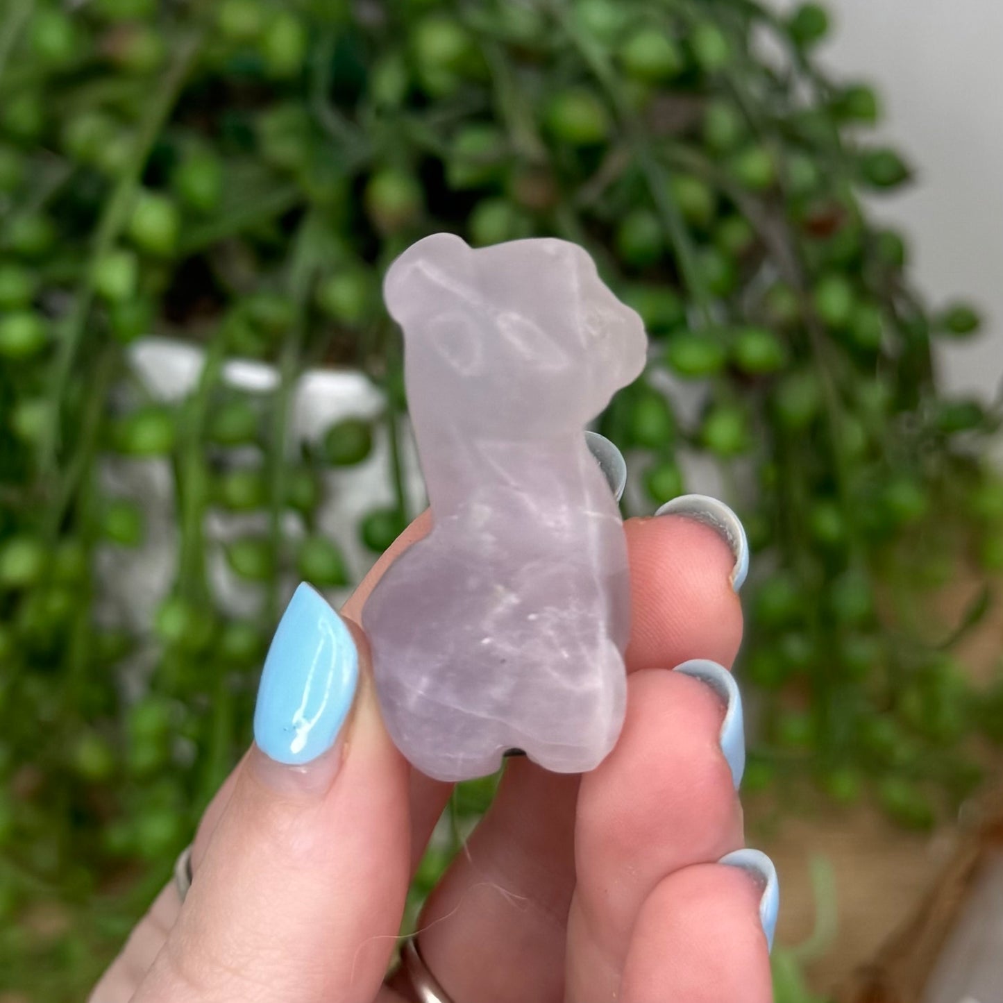 Purple Fluorite Llama (U749)