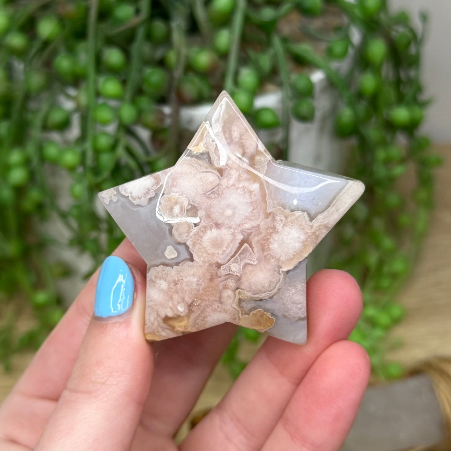 Flower Agate Star (239A)