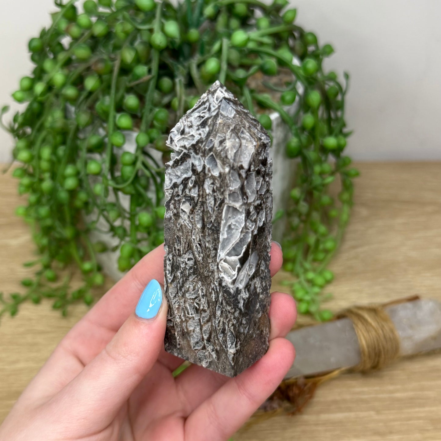 Sphalerite Point (245A)