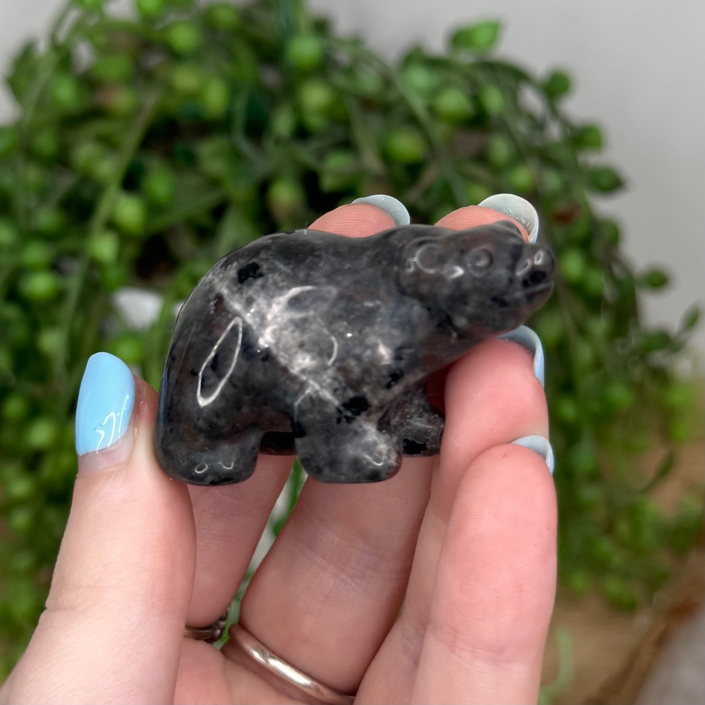 Yooperlite Bear (U452)
