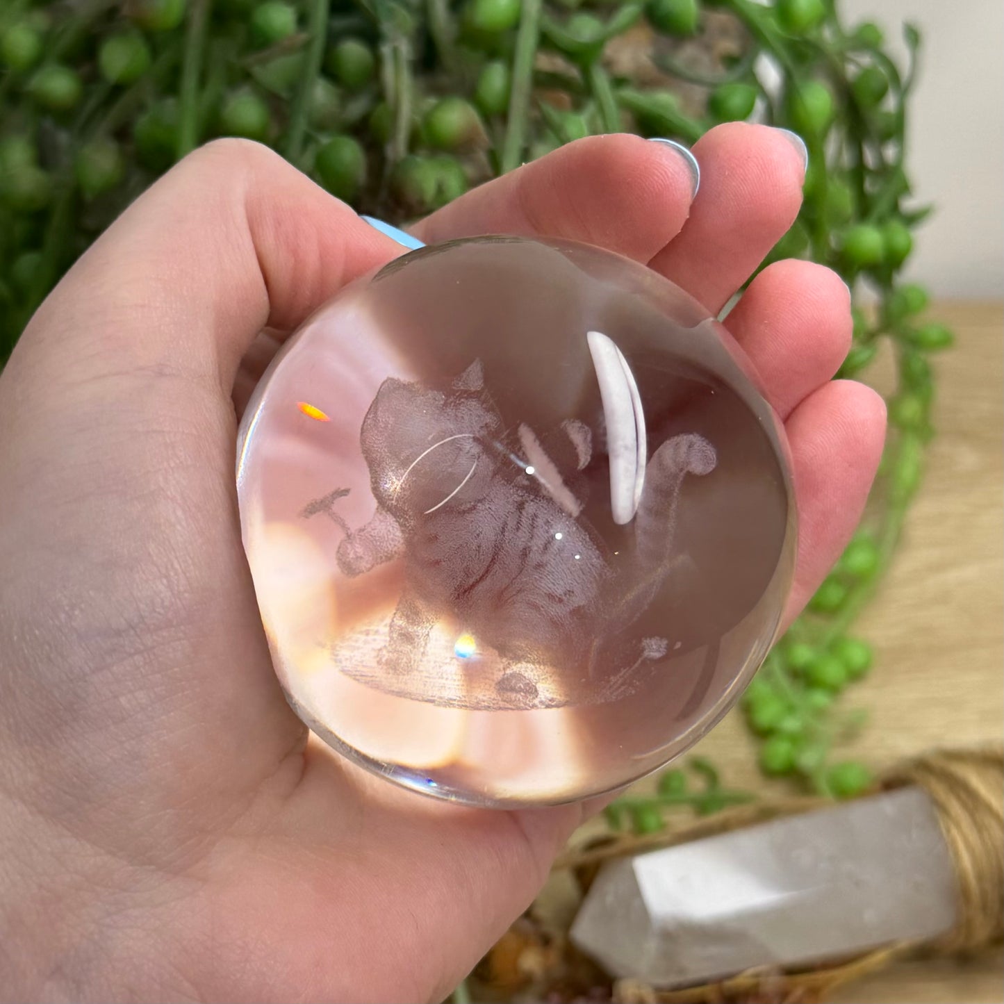 Cat Glass Sphere (150A)