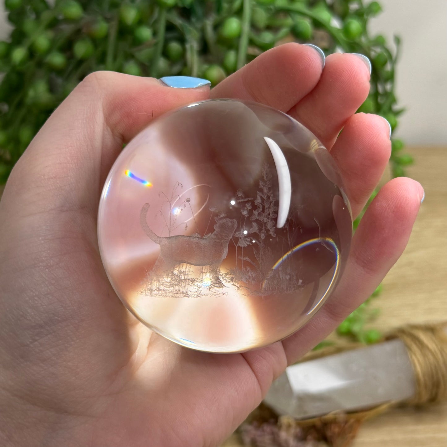 Cat Glass Sphere (149A)
