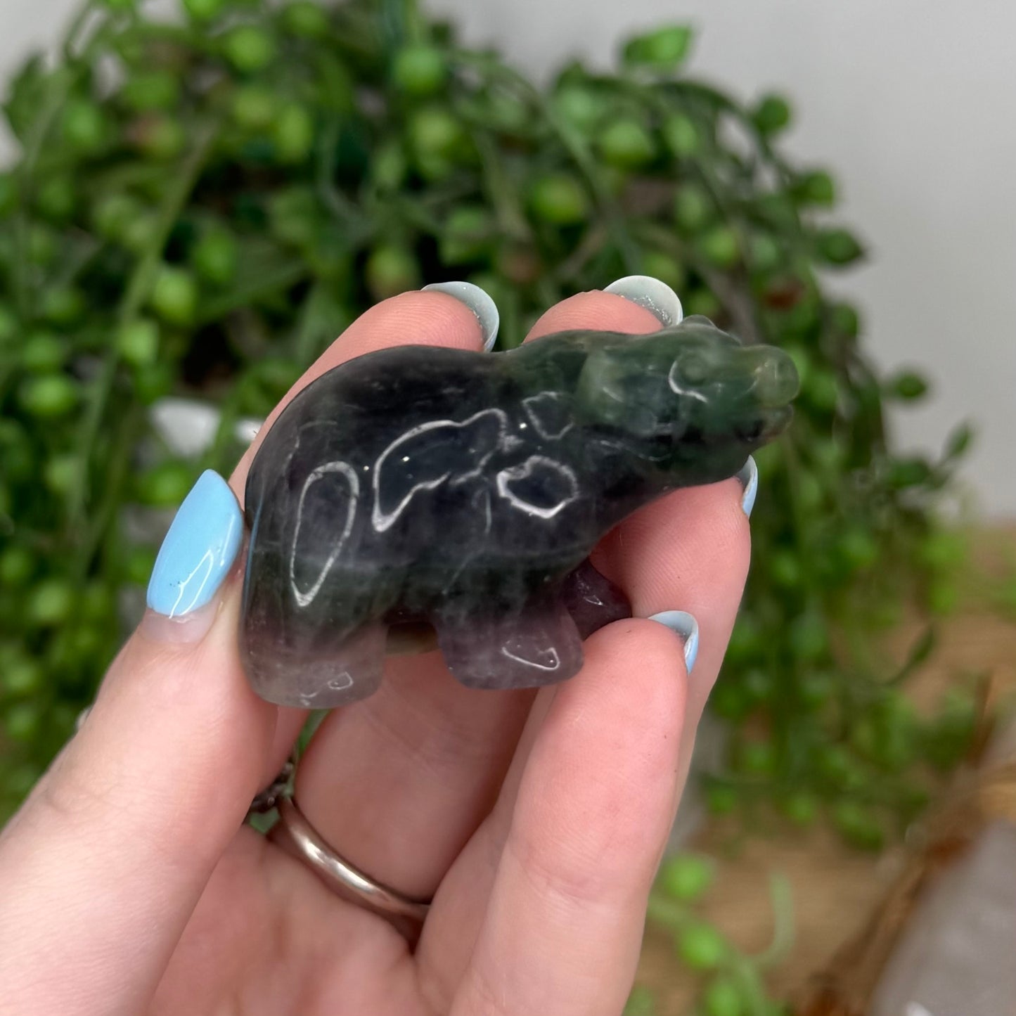 Fluorite Bear (U449)