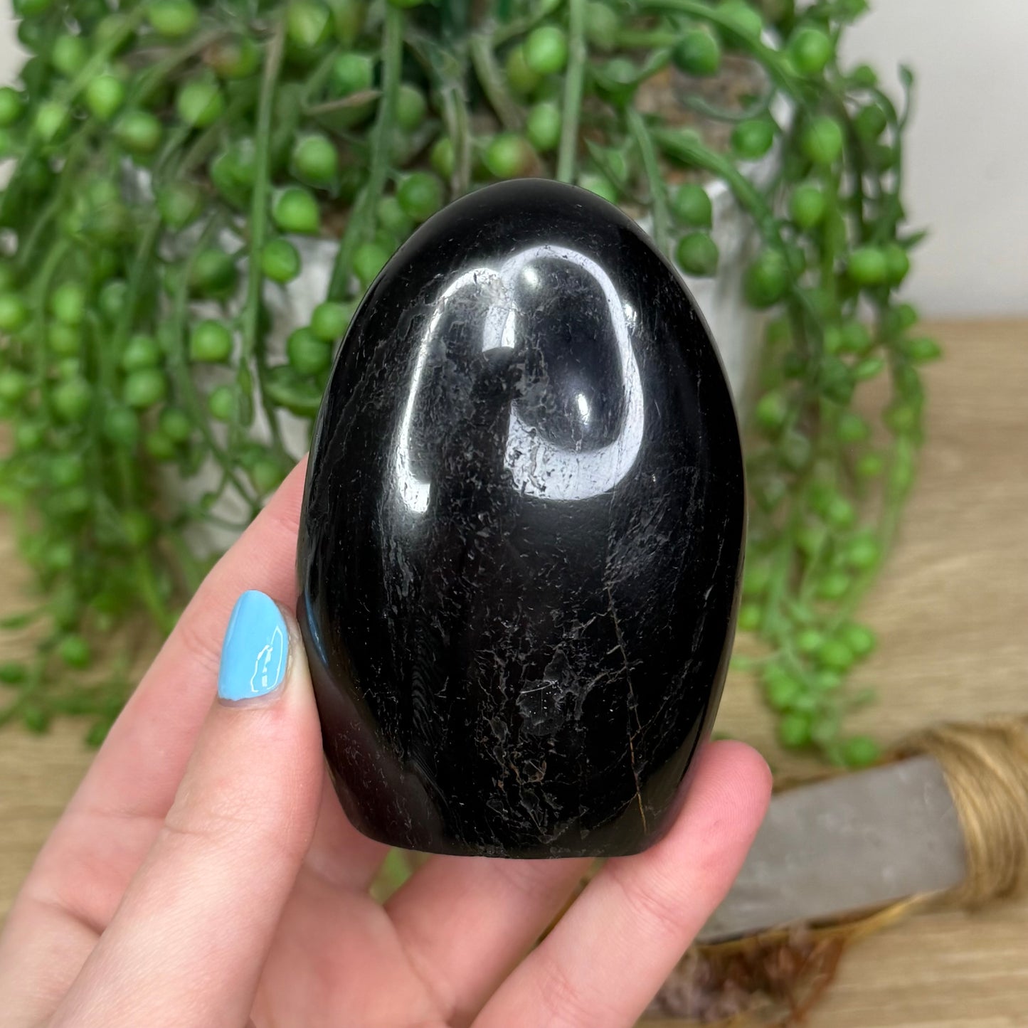Black Tourmaline Arch Free Form (23A)