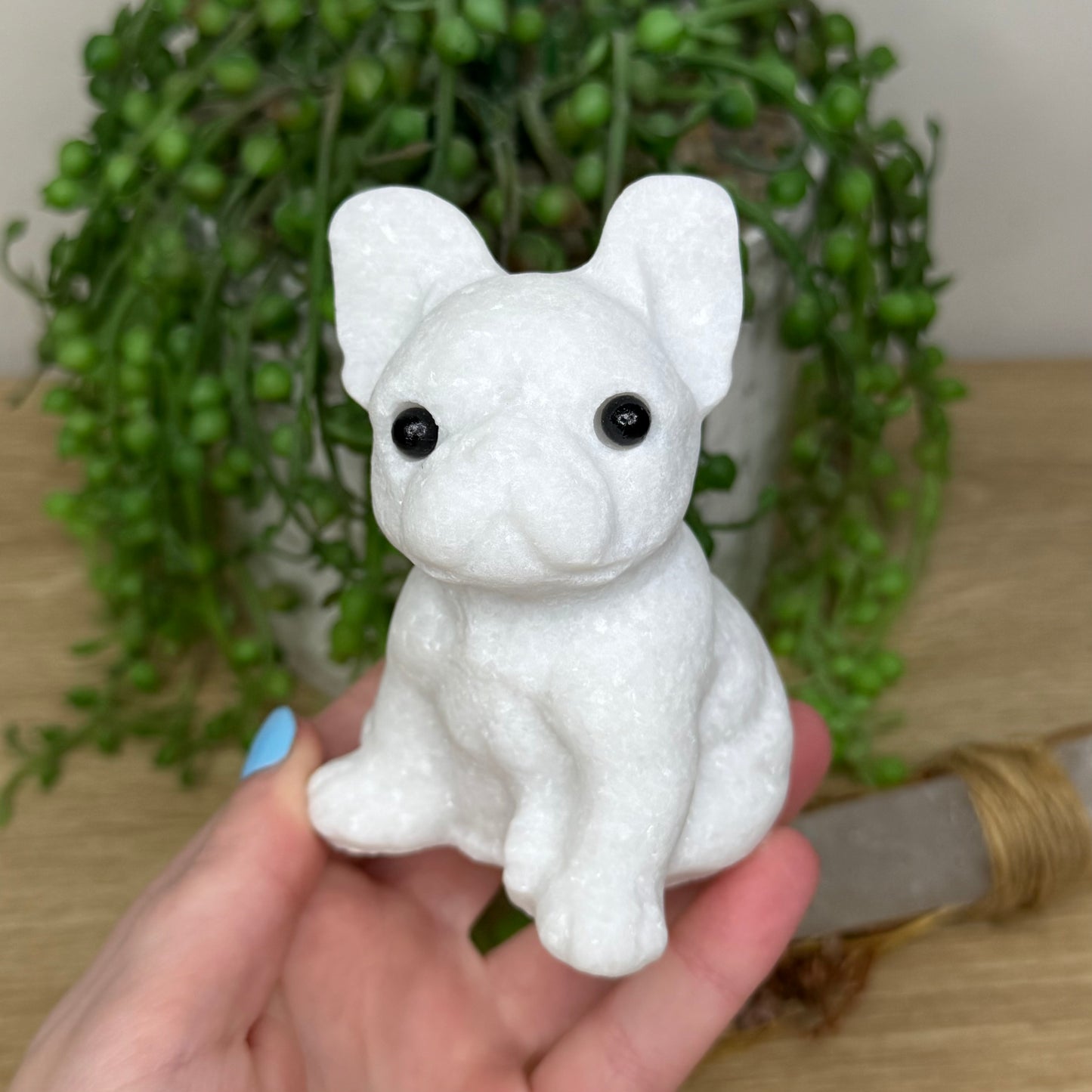 White Jade French Bulldog (61A)