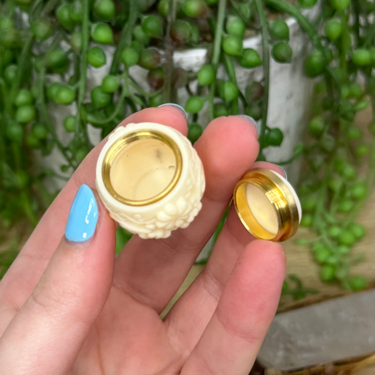 Tagua Small Jar