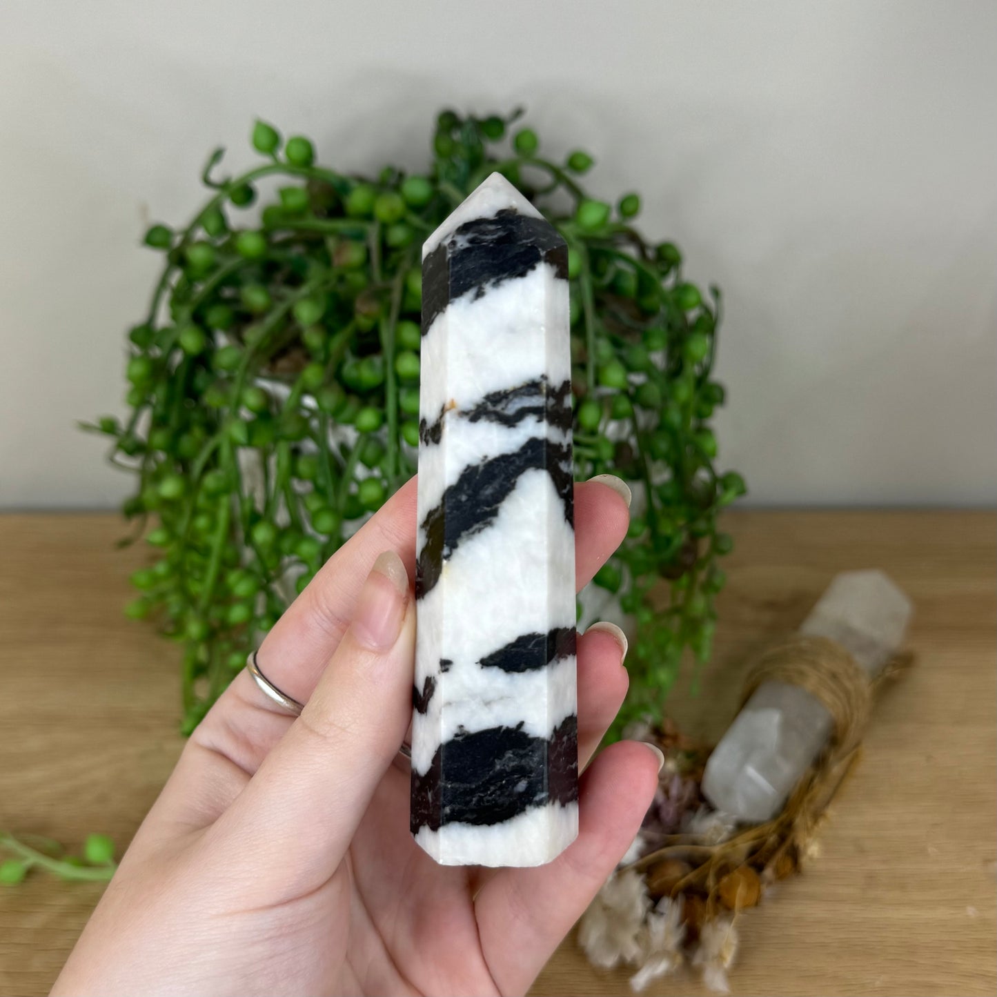 Black Zebra Jasper Point (Q85)