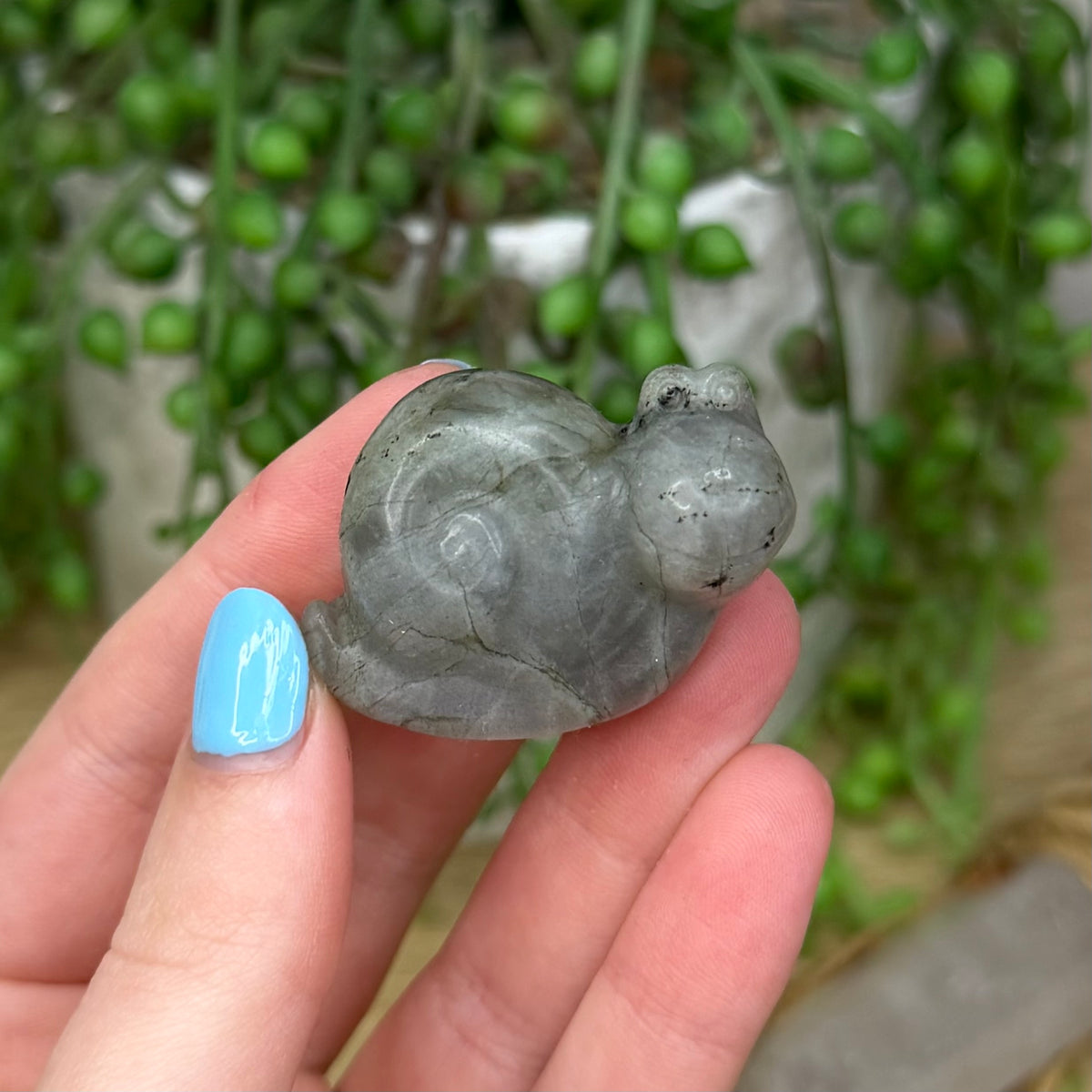 Labradorite Snail (126A)