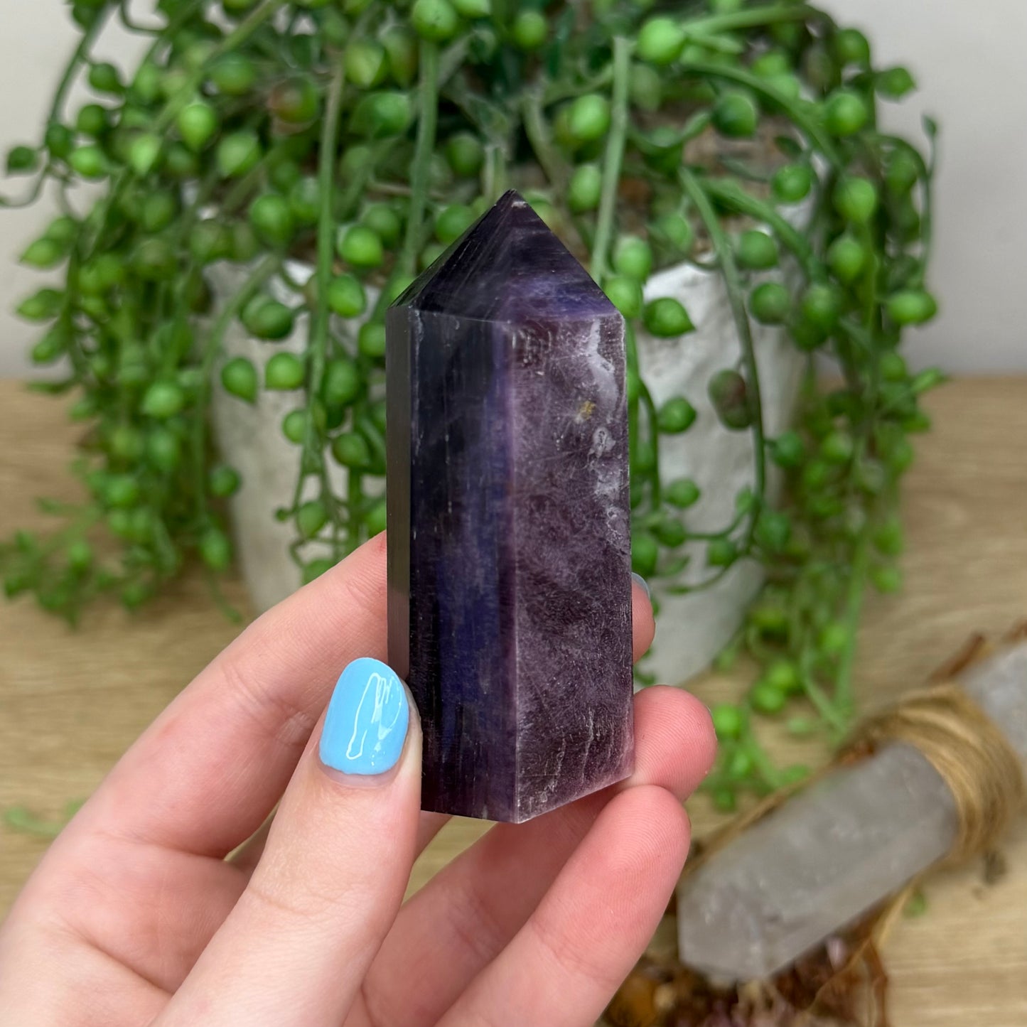 Purple Mica Point (Z744)
