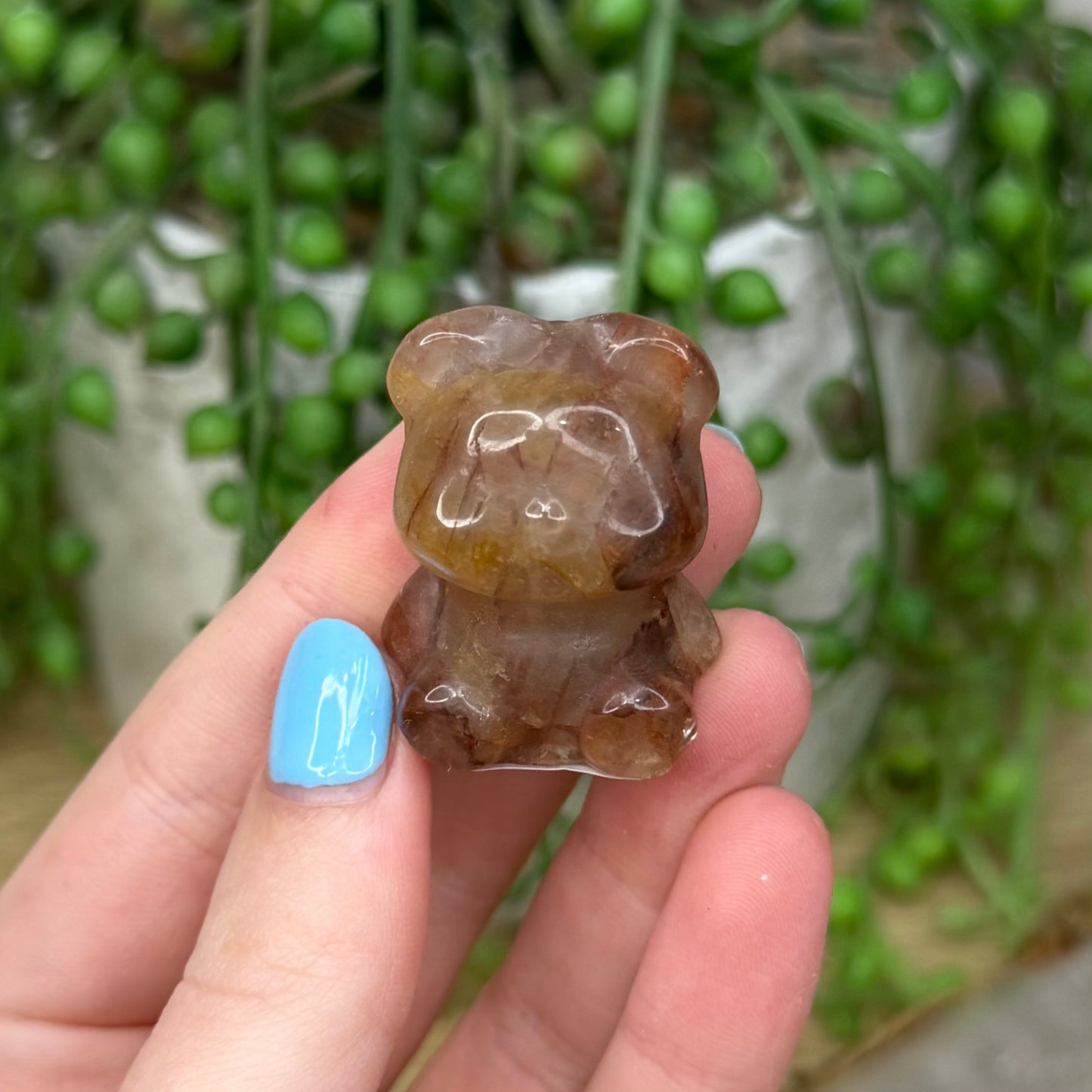 Golden Healer Bear (Z774)