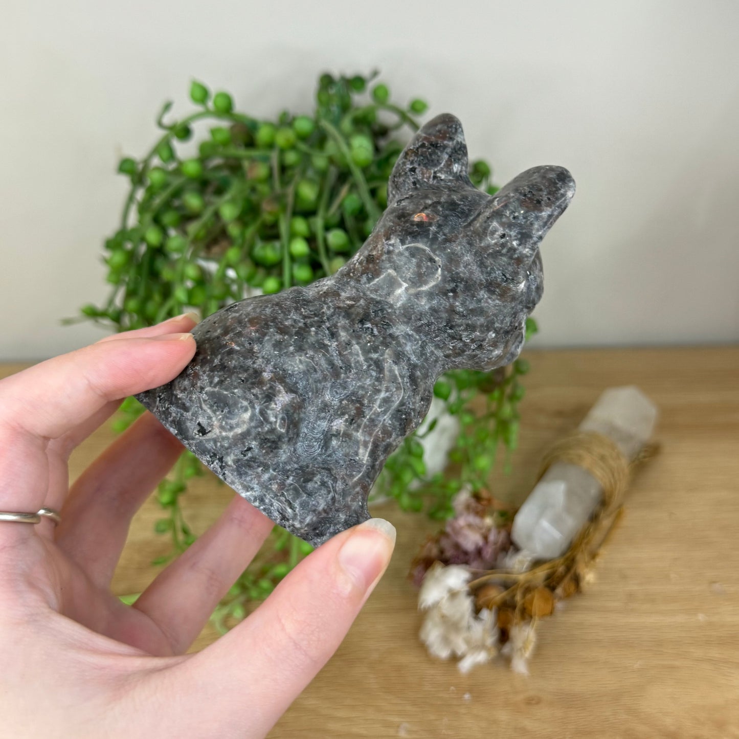 Yooperlite French Bulldog (P865)