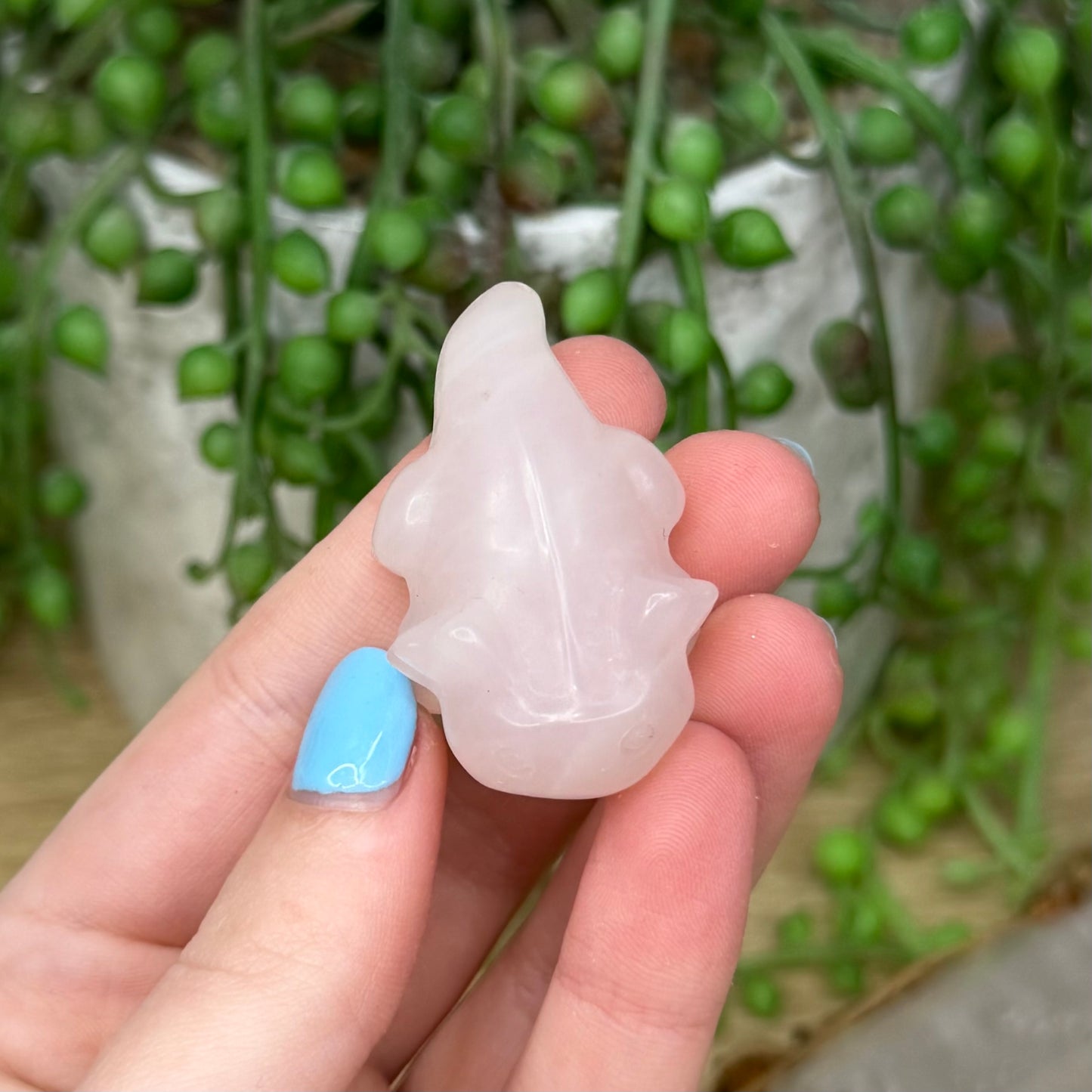 Rose Quartz Axolotl (Z980) (Z985)