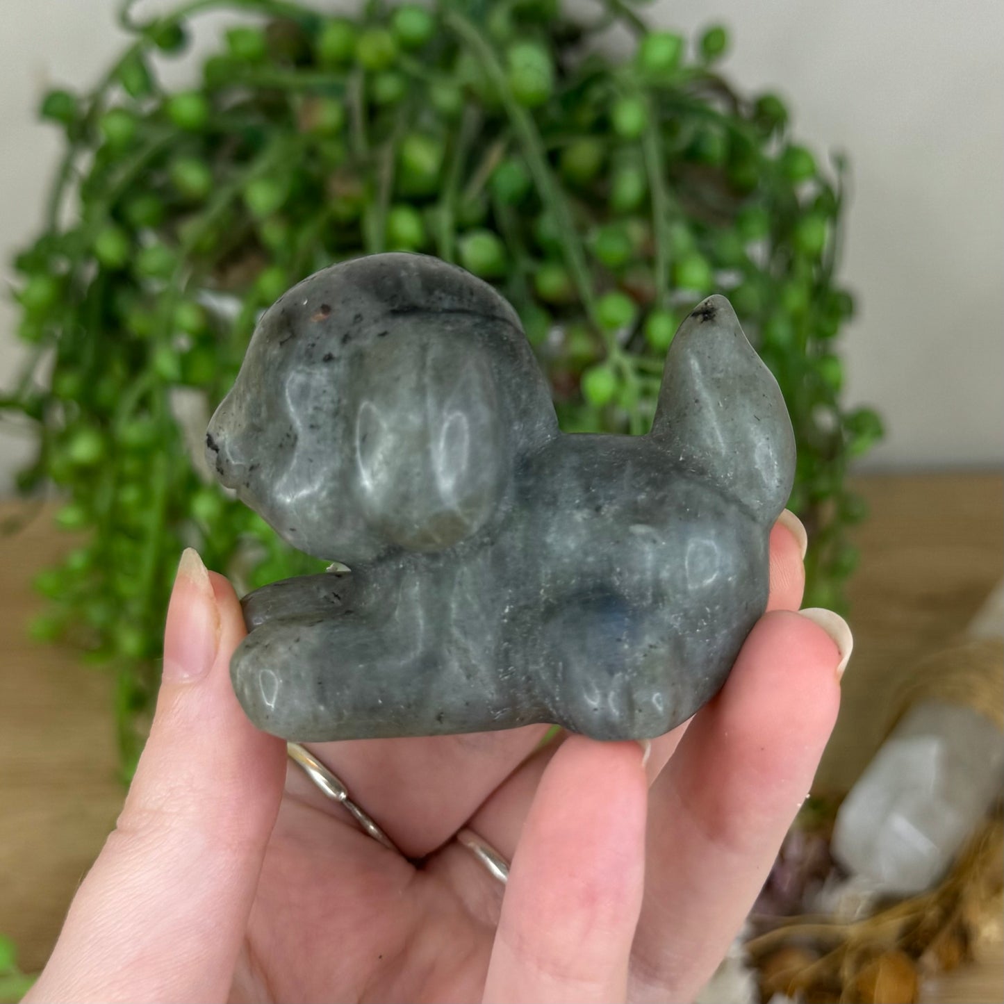 Labradorite Dog (P962)