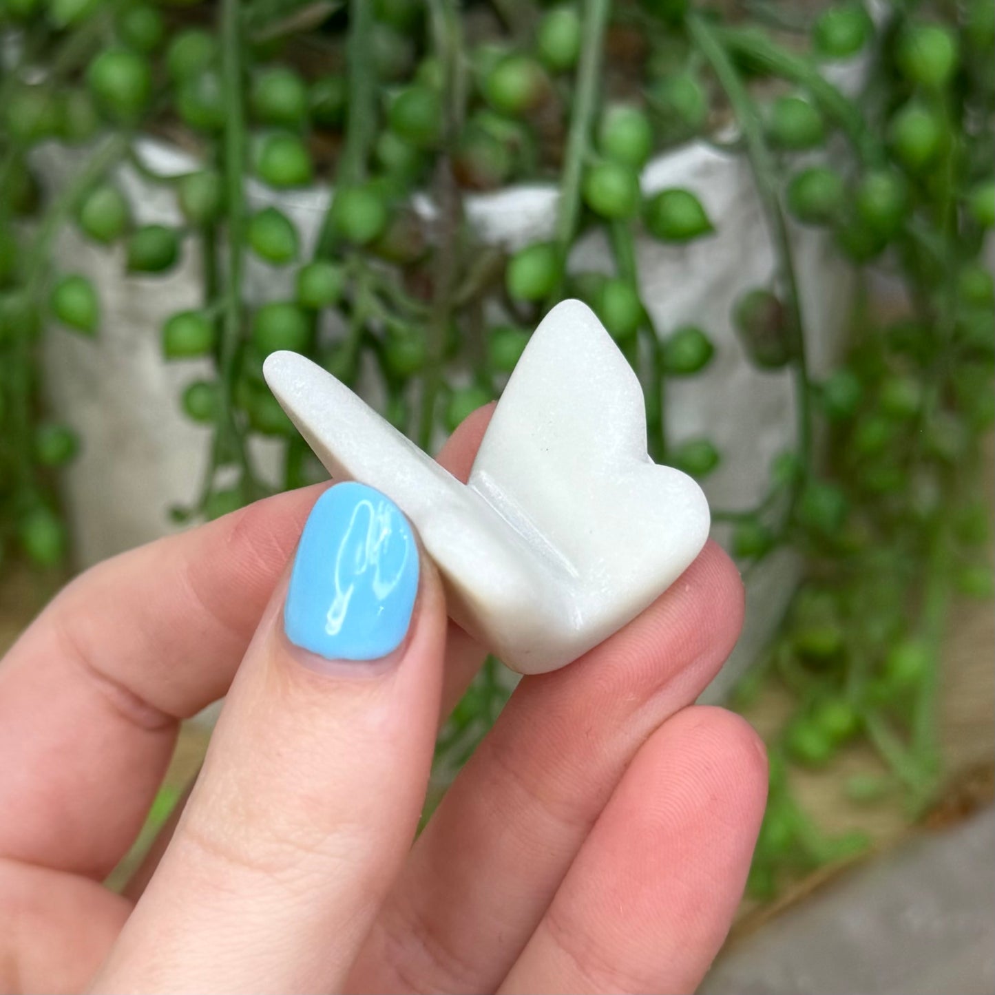 White Jade Butterfly (272A)