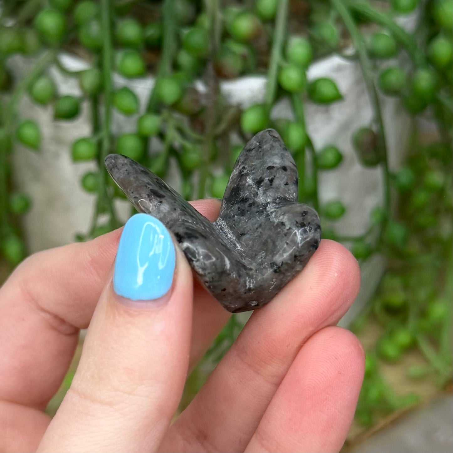 Yooperlite Butterfly (262A)
