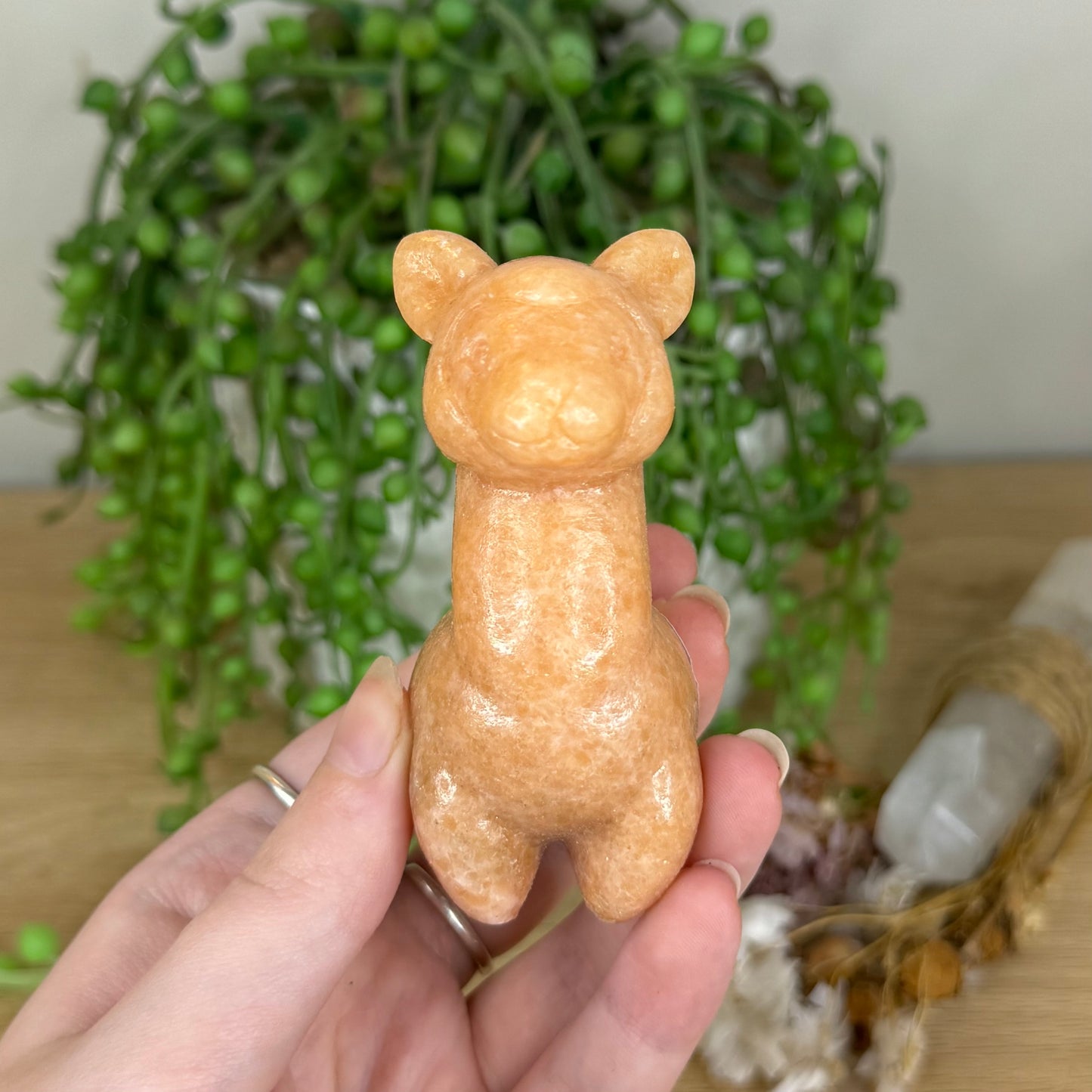 Sunstone Llama (Q5)