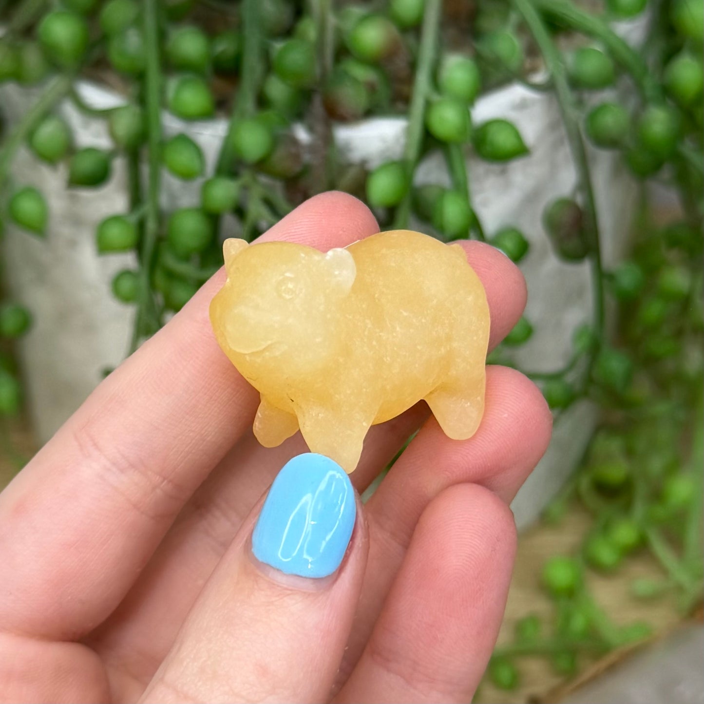 Yellow Calcite Pig (Z883)