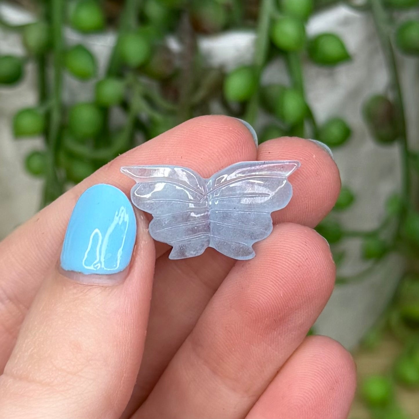 Aquamarine Mini Butterfly 1