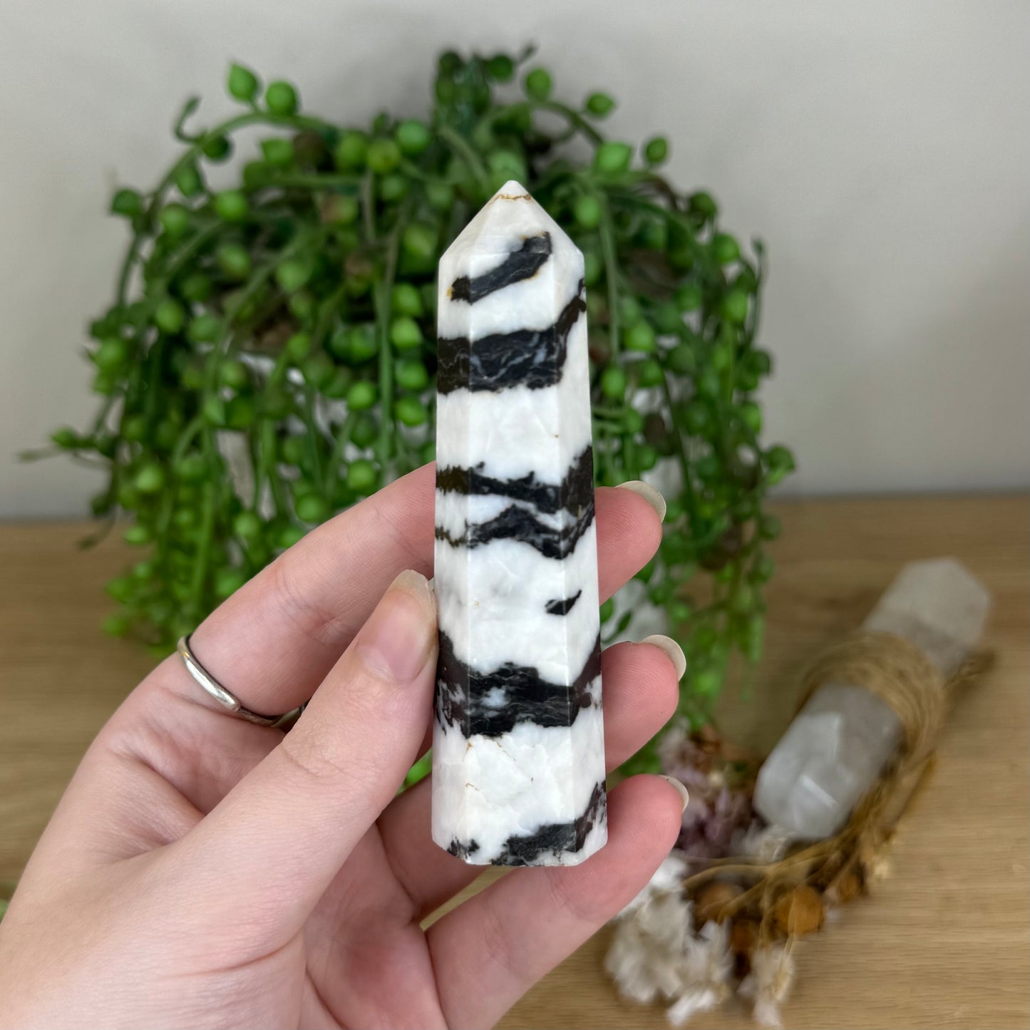 Black Zebra Jasper Point (Q81)