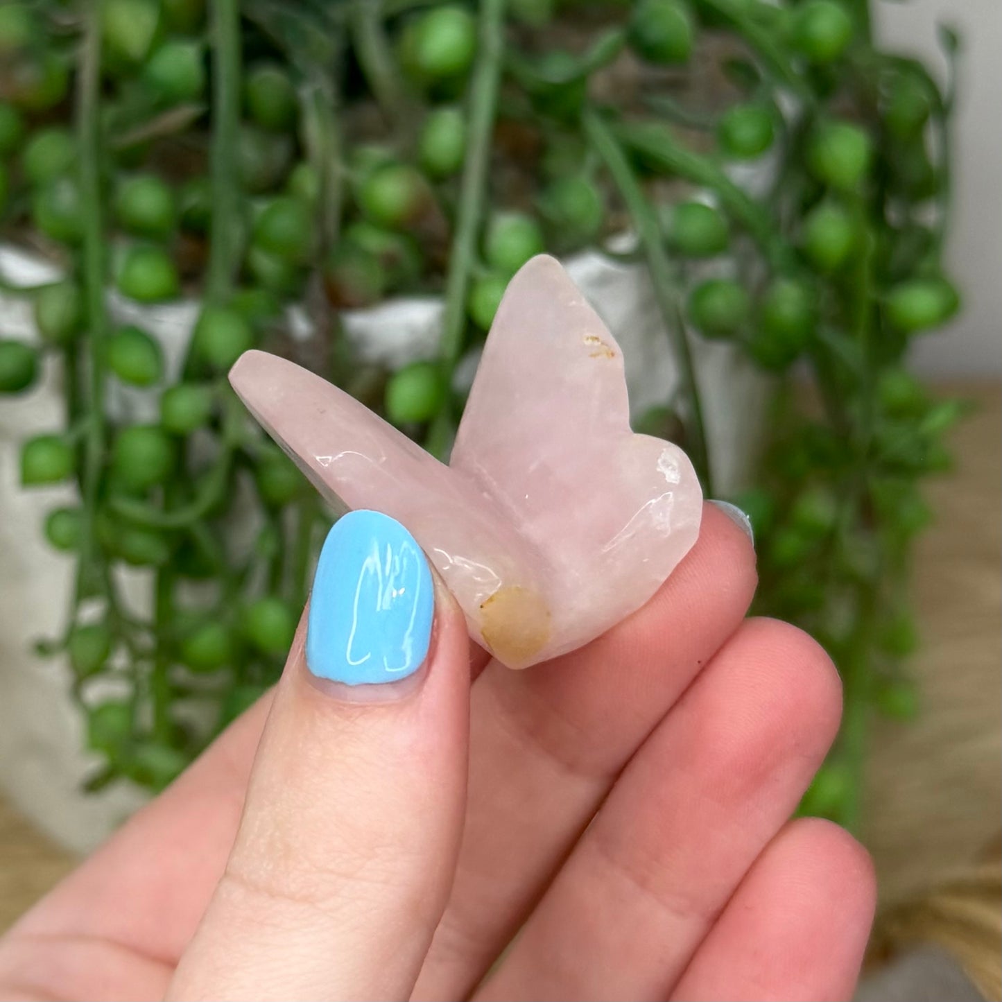 Rose Quartz Butterfly (257A)