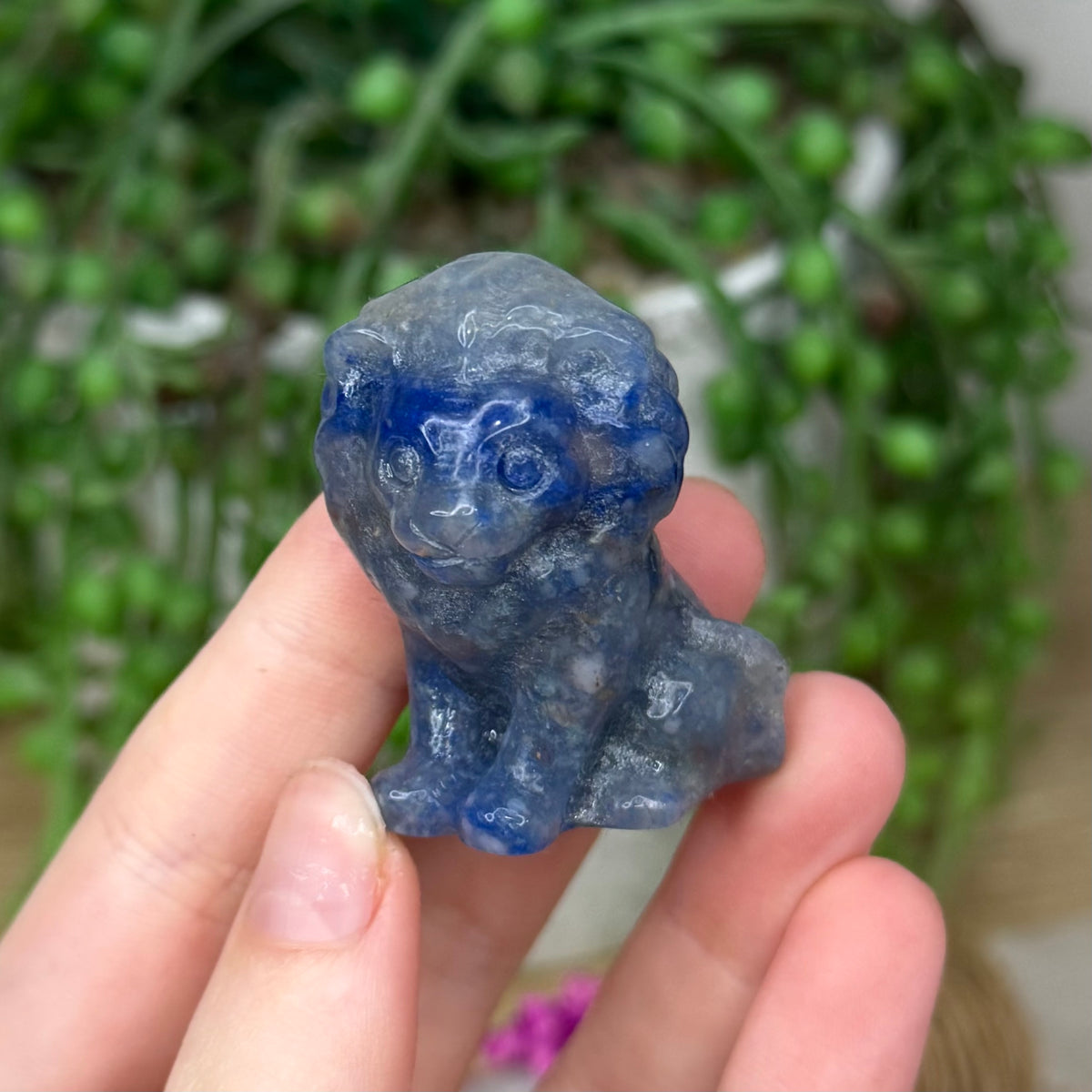 Blue Aventurine Lion (497A)