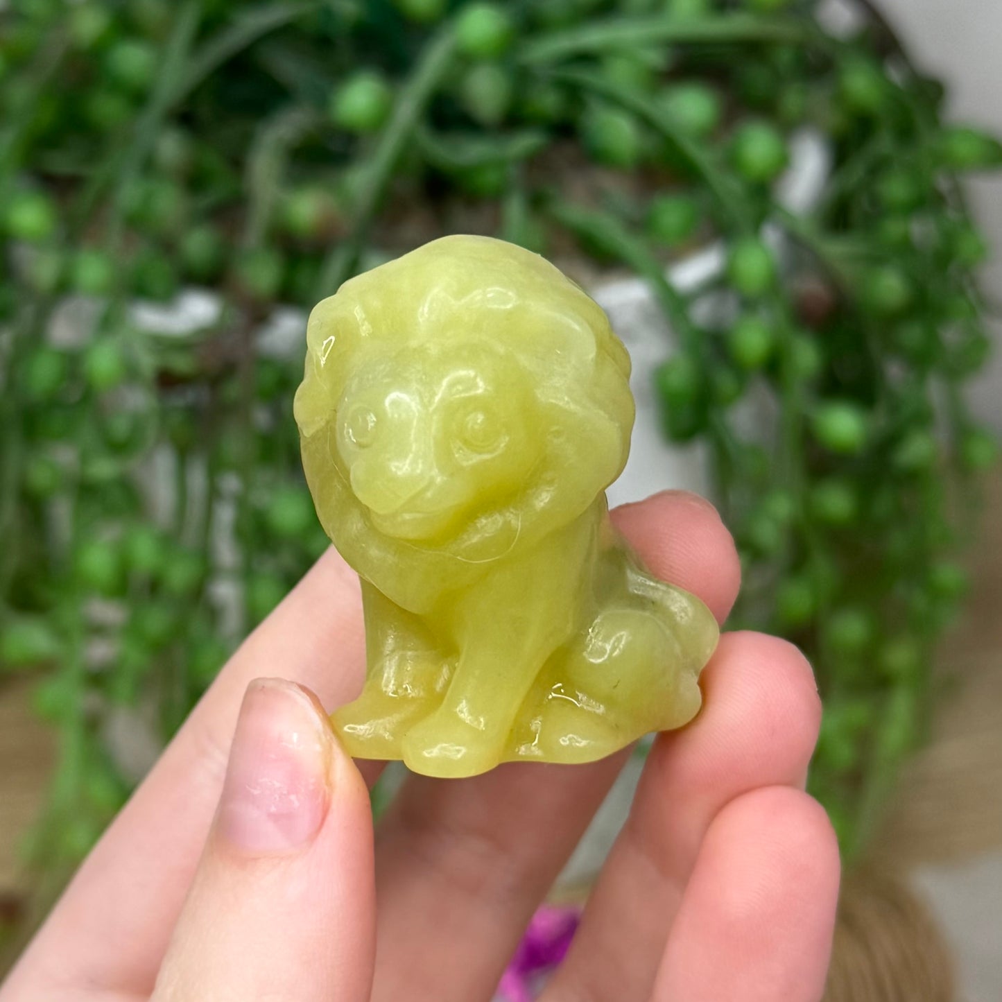 Yellow Jade Lion (500A)