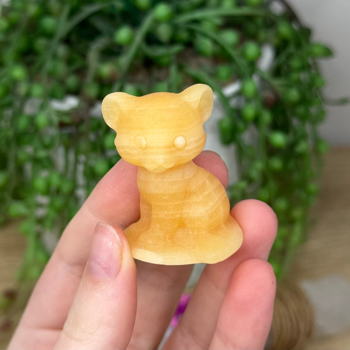 Yellow Calcite Baby Leopard (363A)
