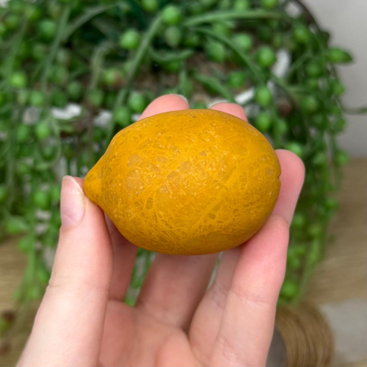 Yellow Mudstone Lemon (493A)
