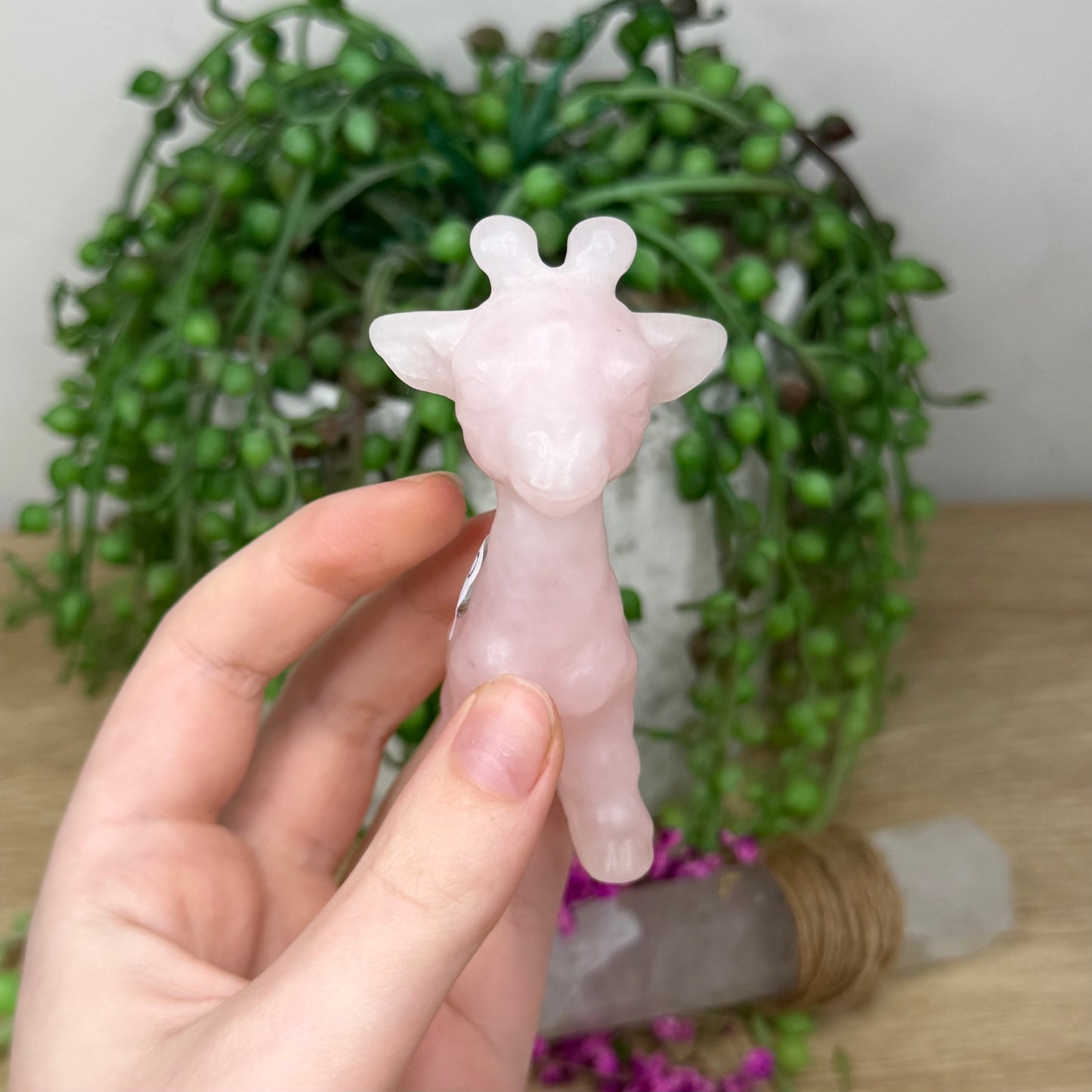 Rose Quartz Giraffe (466A)