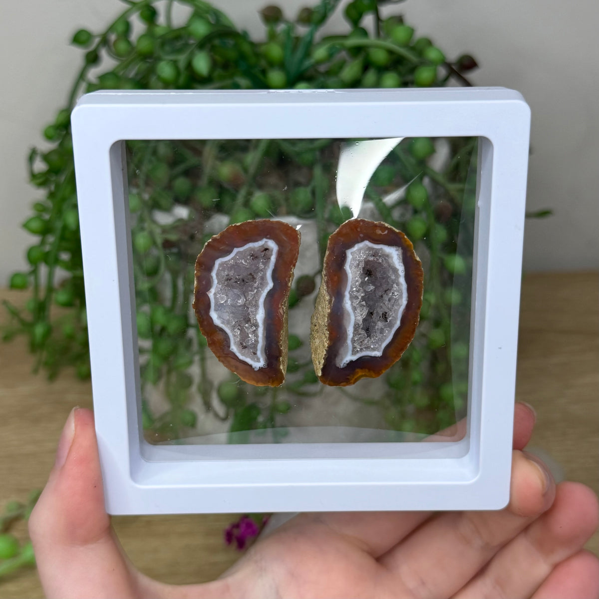 Zhanguo Agate Geode Pair (418A)