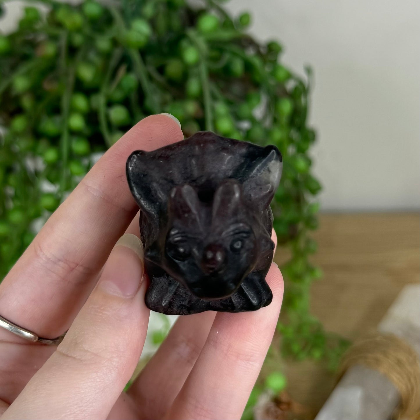 Garnet Triceratops (Q402)