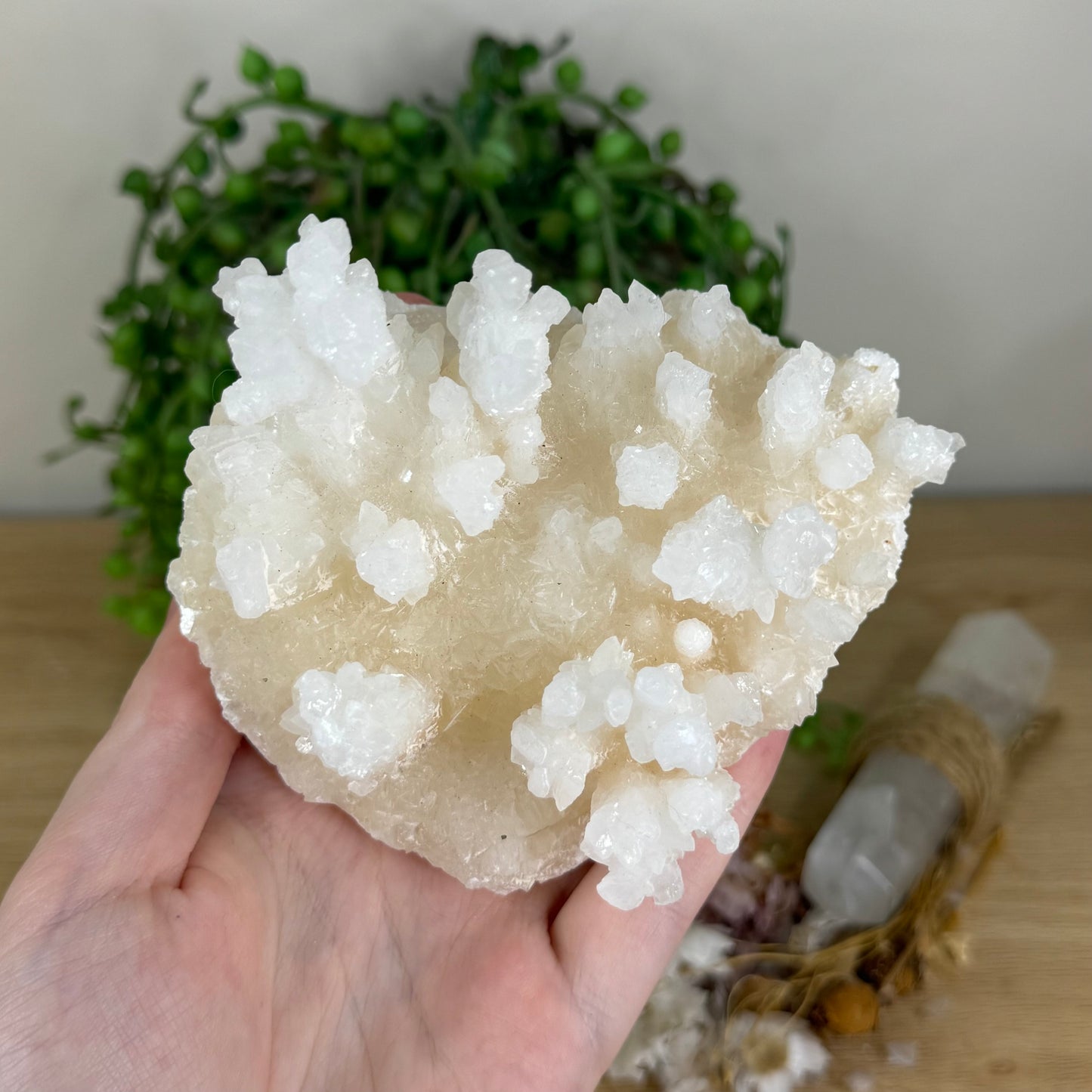 Stalactite Cluster (P911)
